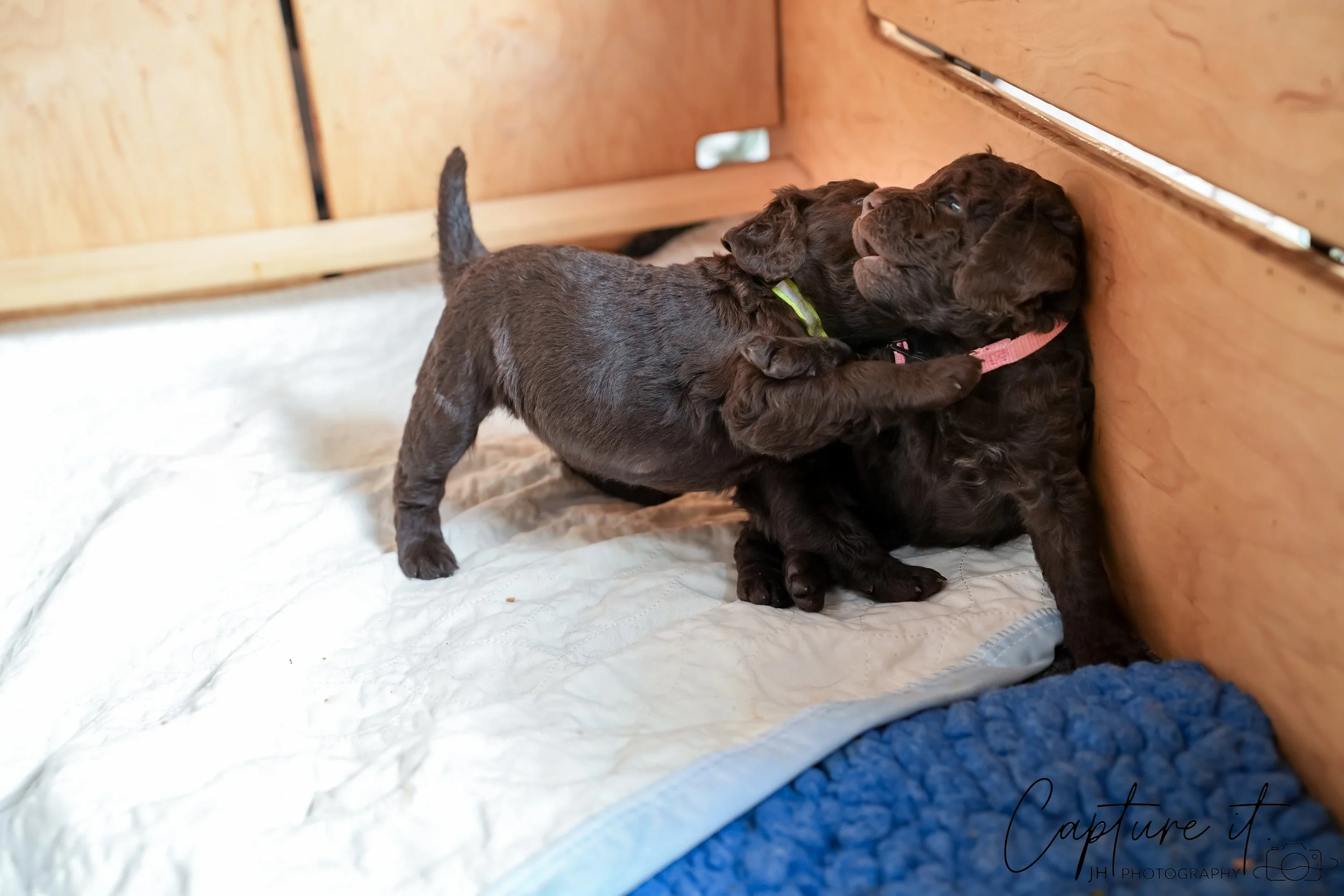 jsch0324czzjjvw - 412-03.jpg