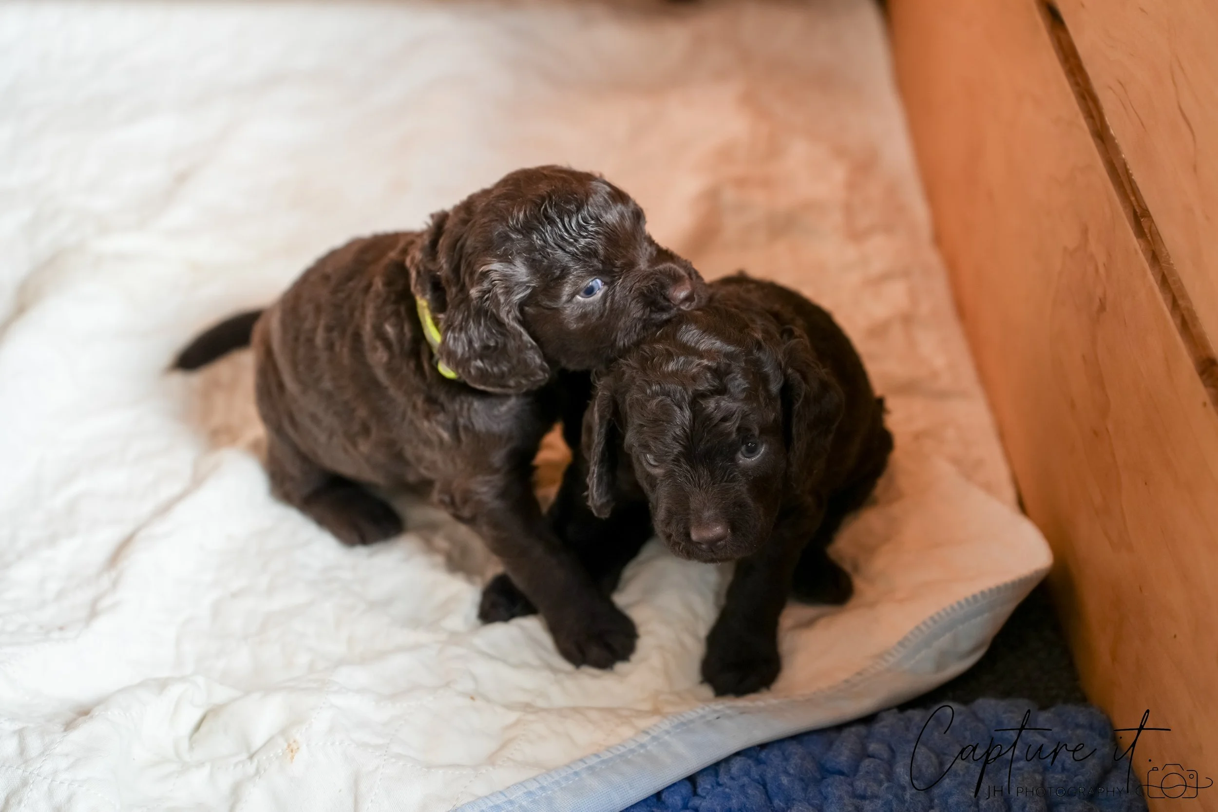 jsch0324czzjjvw - 412-02.jpg