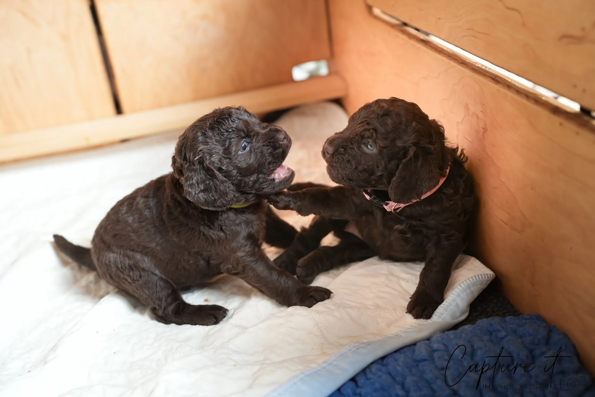 jsch0324czzjjvw - 412-04.jpg