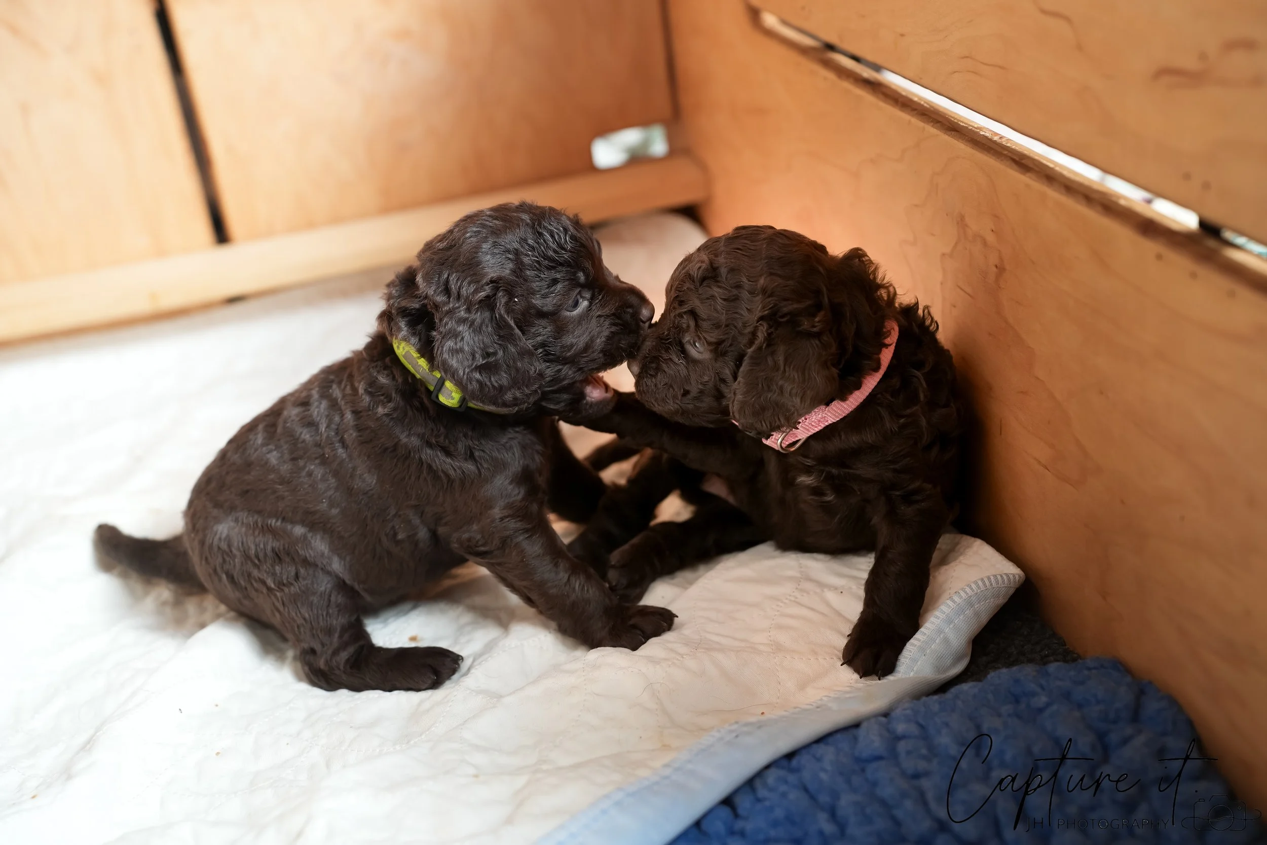 jsch0324czzjjvw - 412-05.jpg