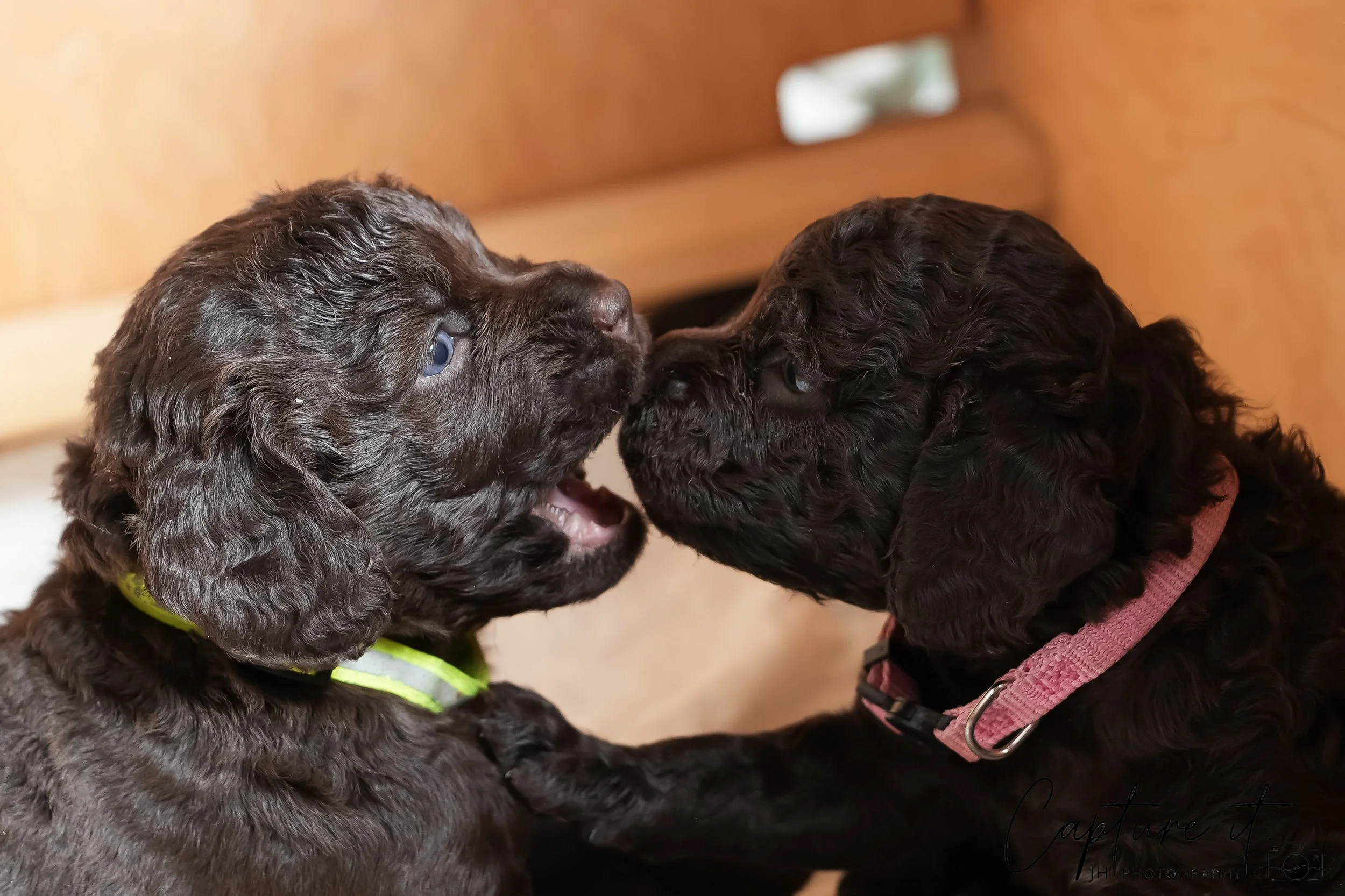 jsch0324czzjjvw - 412-07.jpg