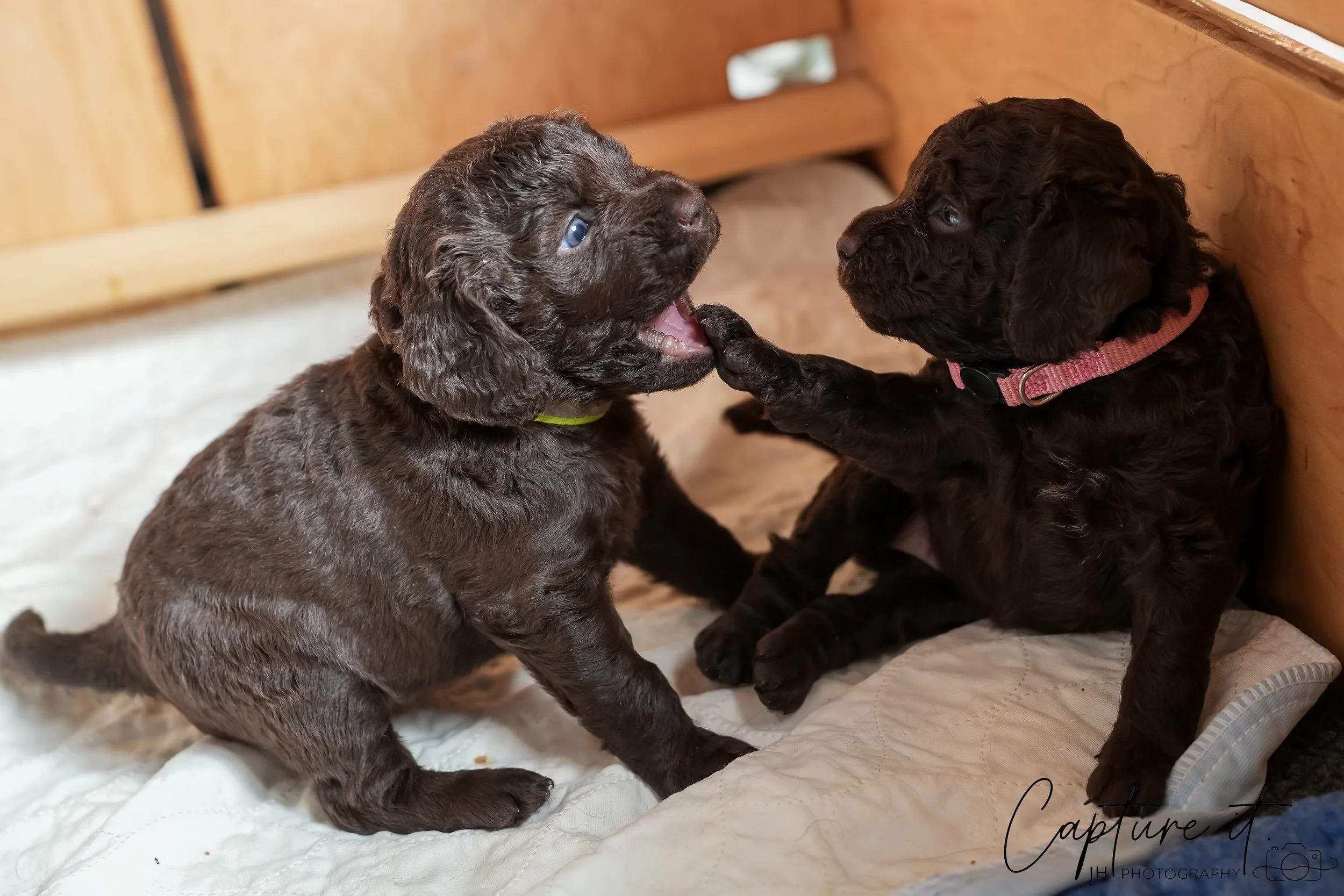 jsch0324czzjjvw - 412-06.jpg