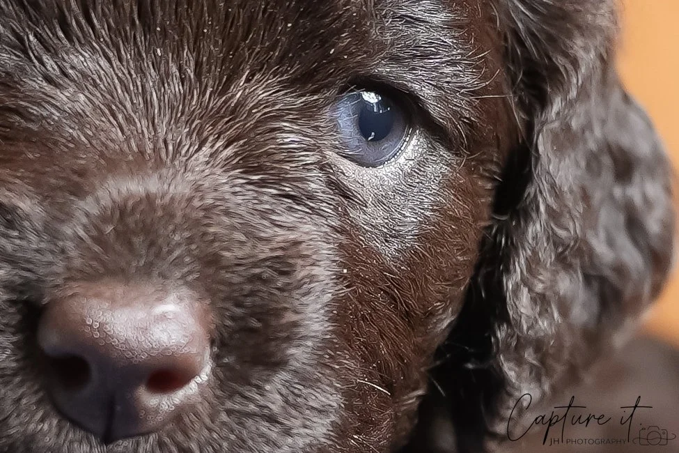 jsch0324czzjjvw - 412-09.jpg