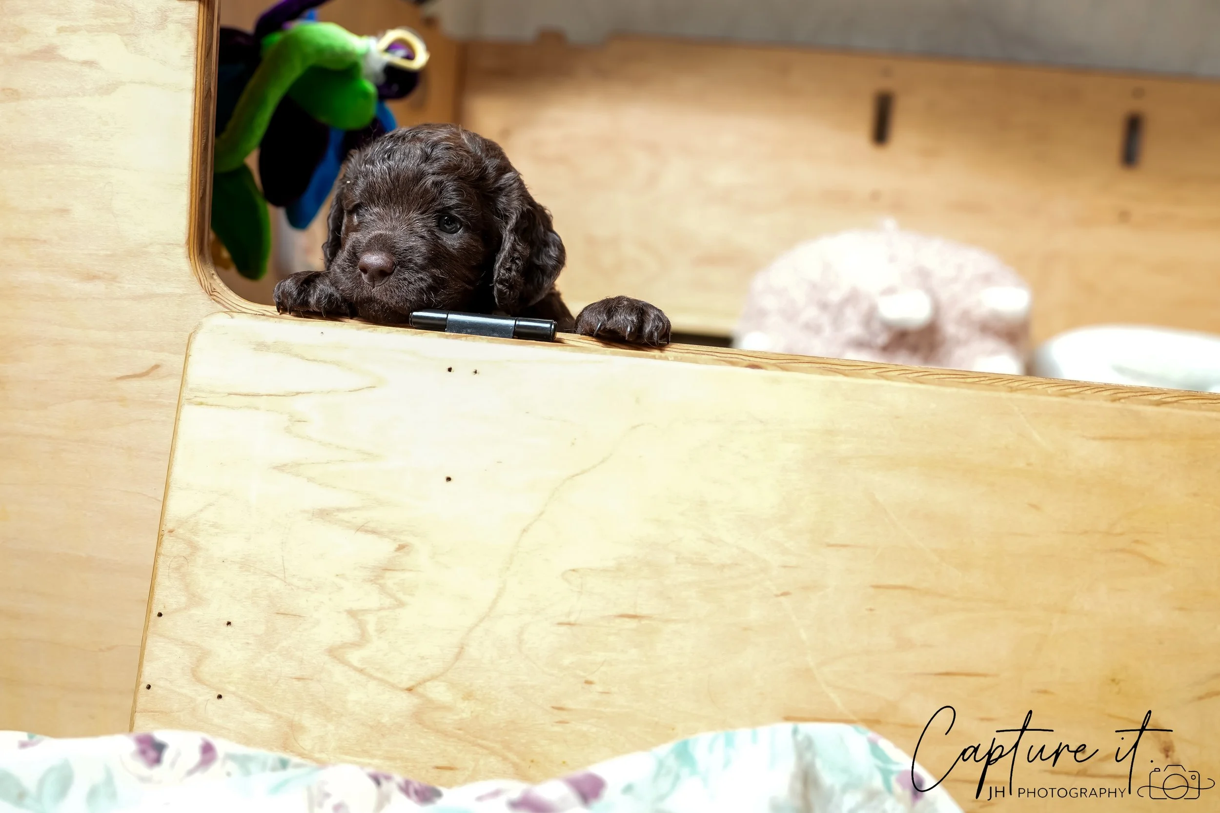 jsch0324czzjjvw - 412-10.jpg