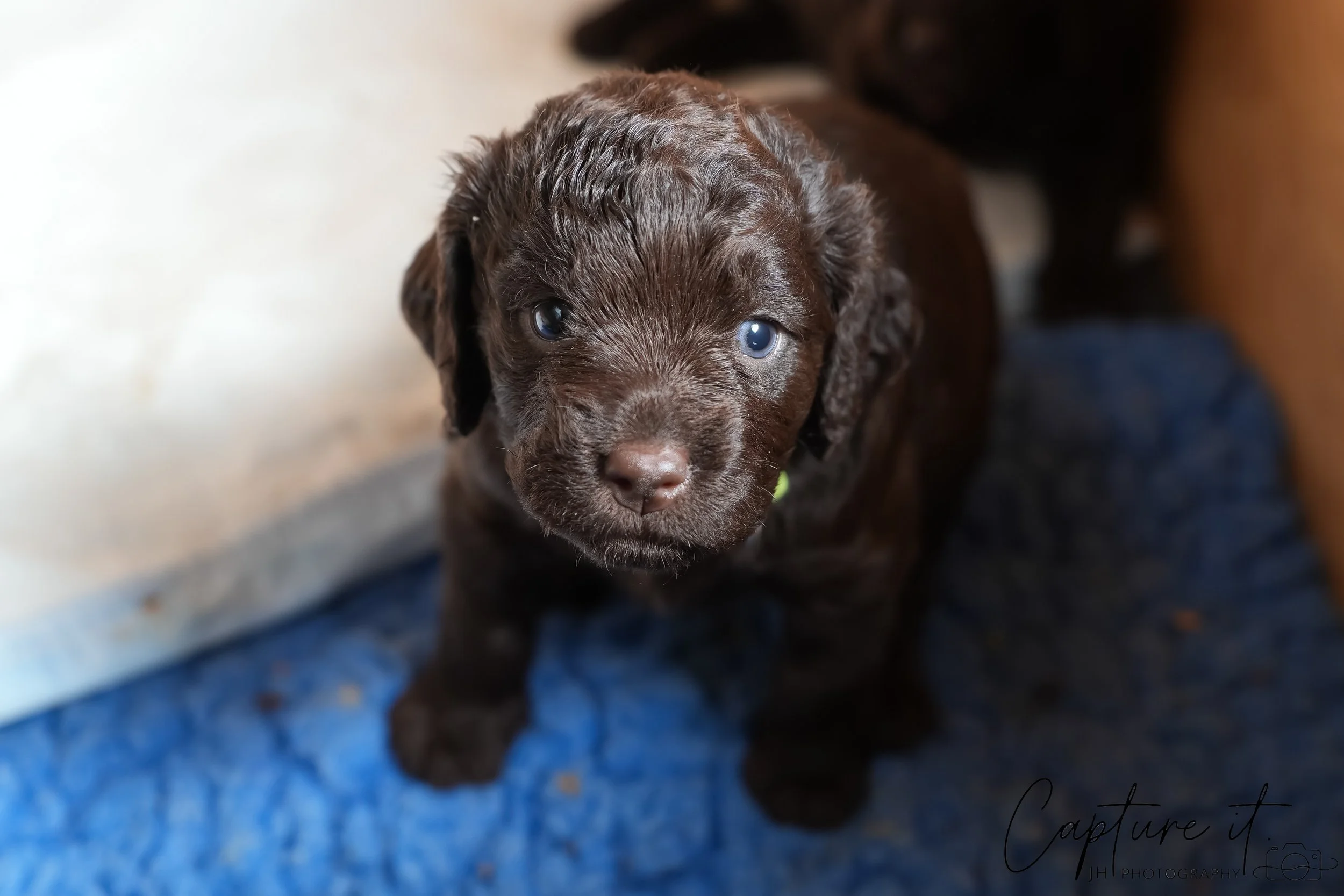 jsch0324czzjjvw - 412-08.jpg