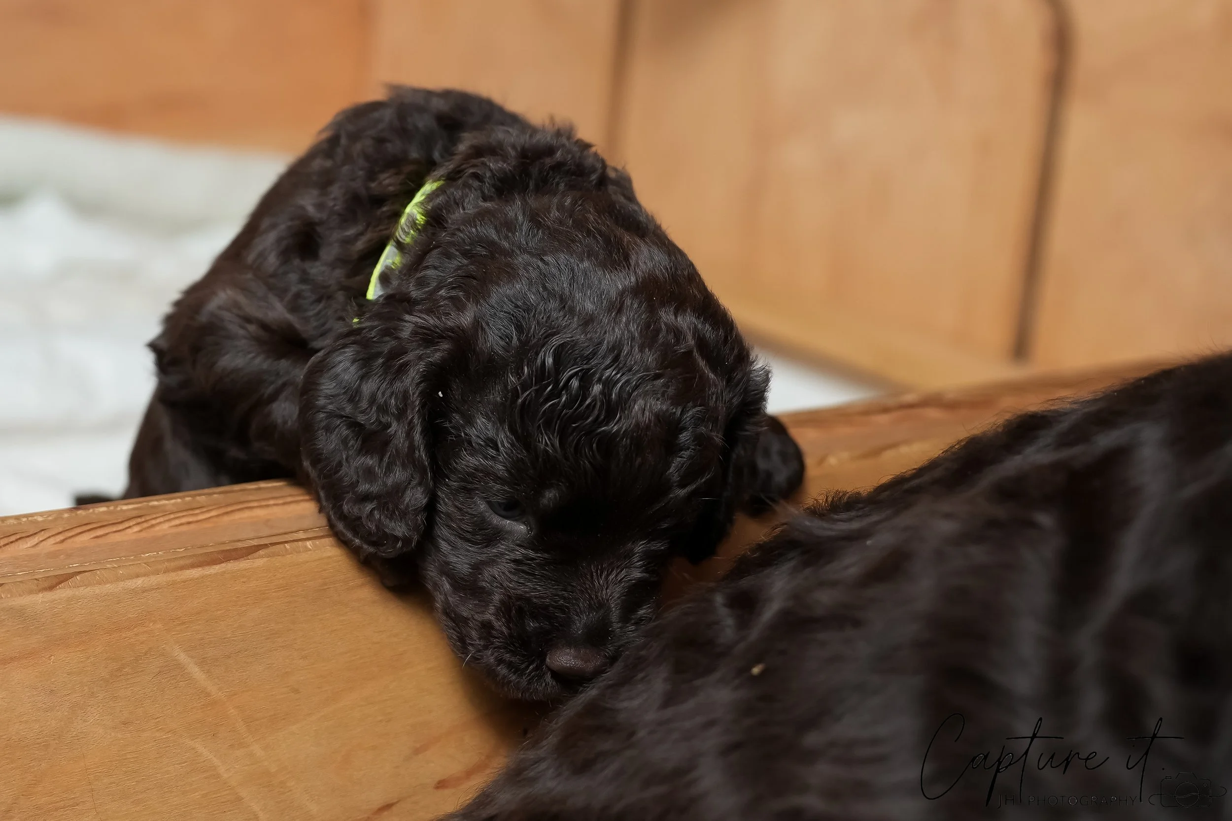 jsch0324czzjjvw - 412-12.jpg