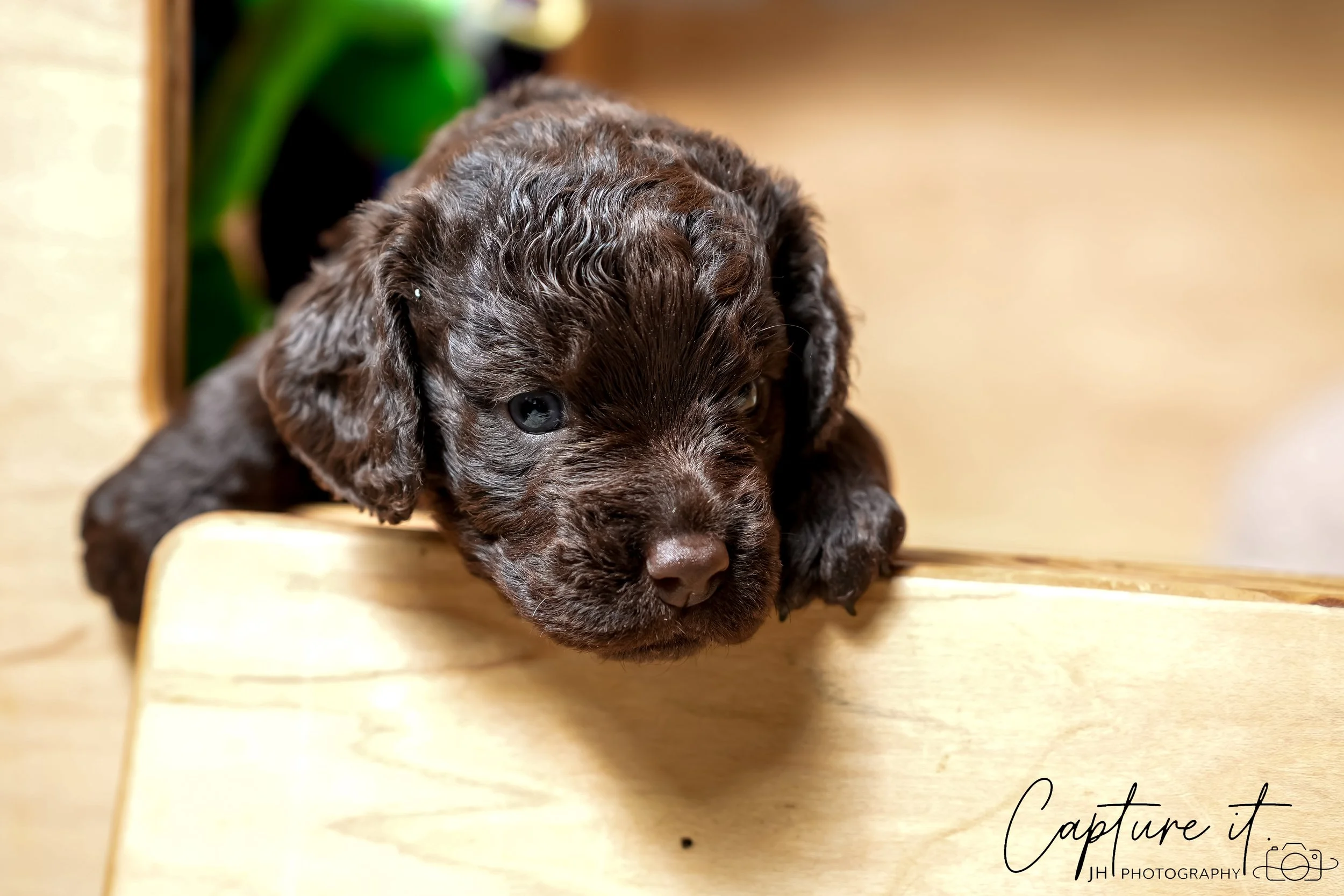 jsch0324czzjjvw - 412-11.jpg