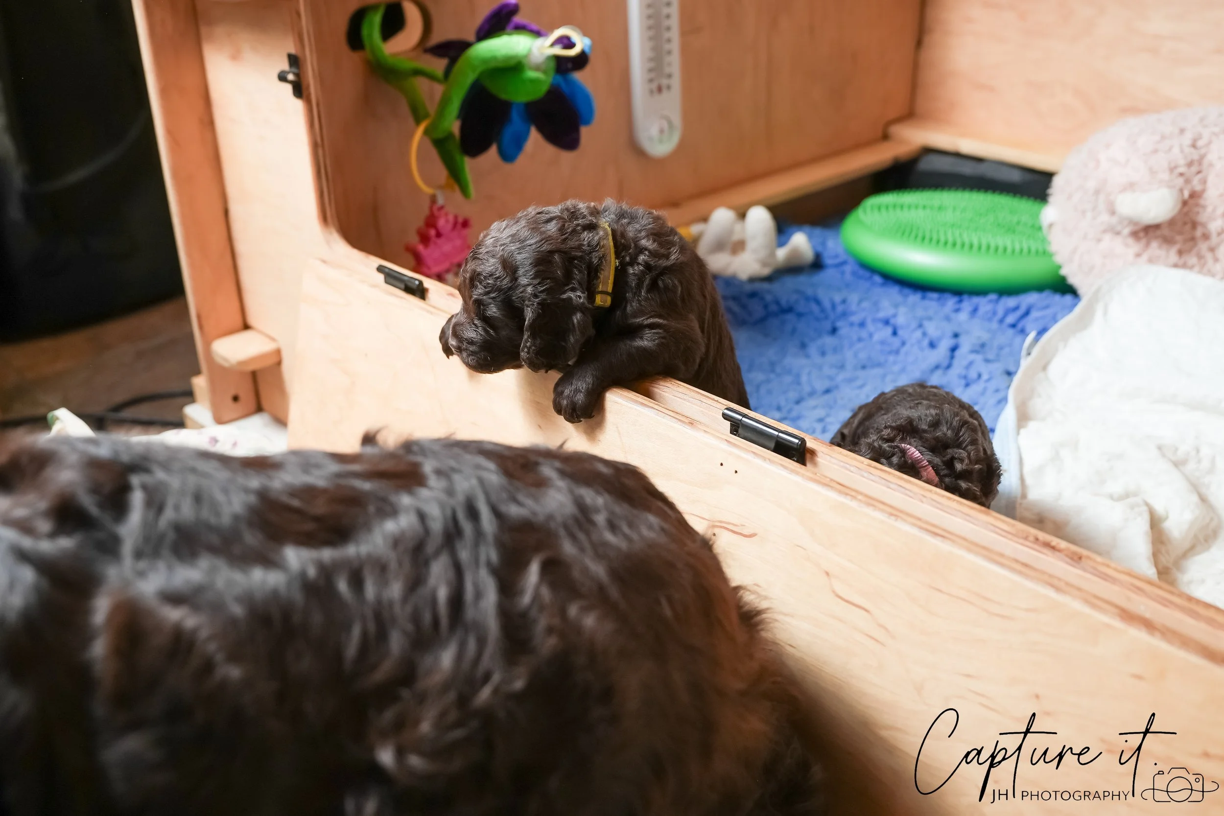 jsch0324czzjjvw - 412-13.jpg