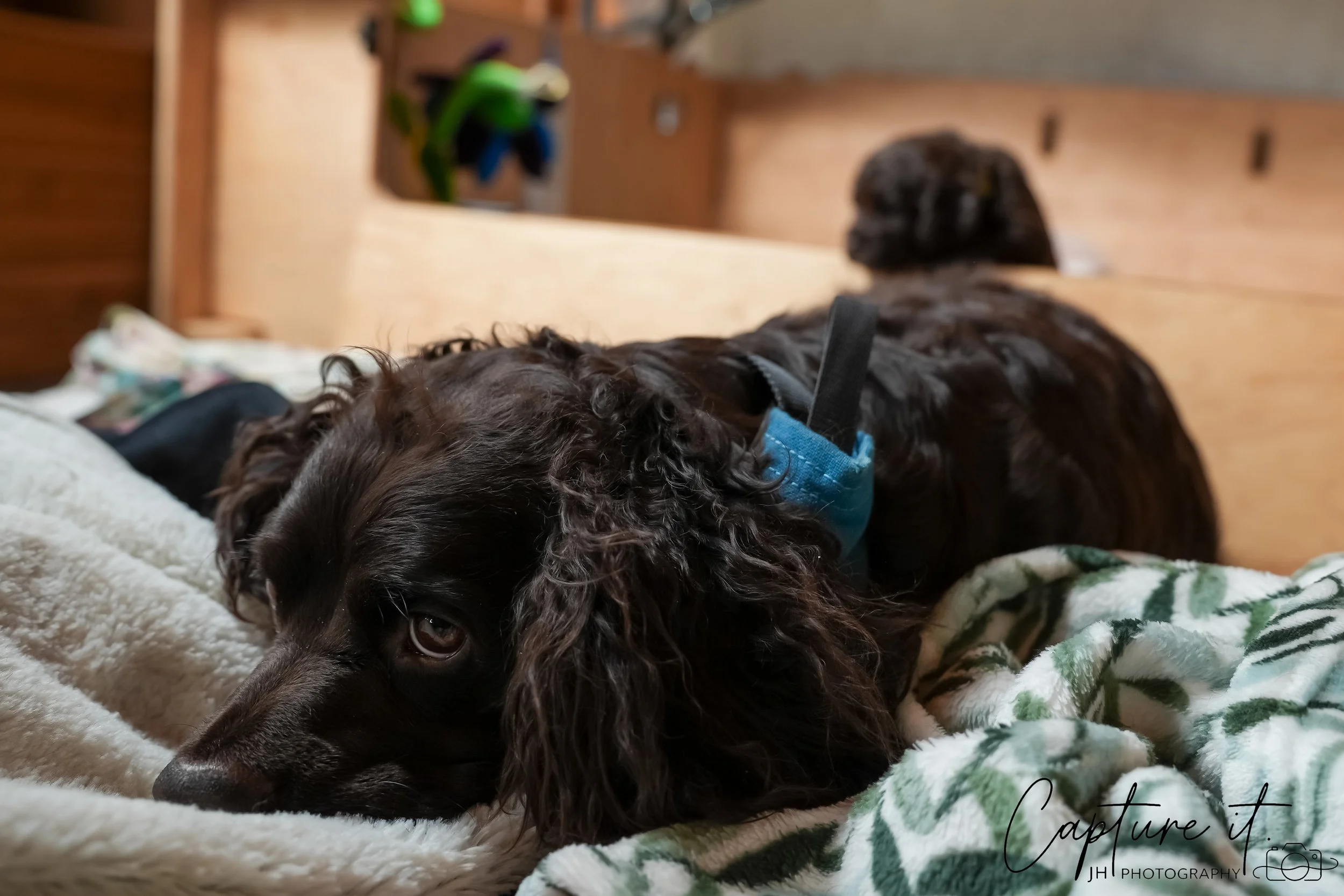 jsch0324czzjjvw - 412-14.jpg