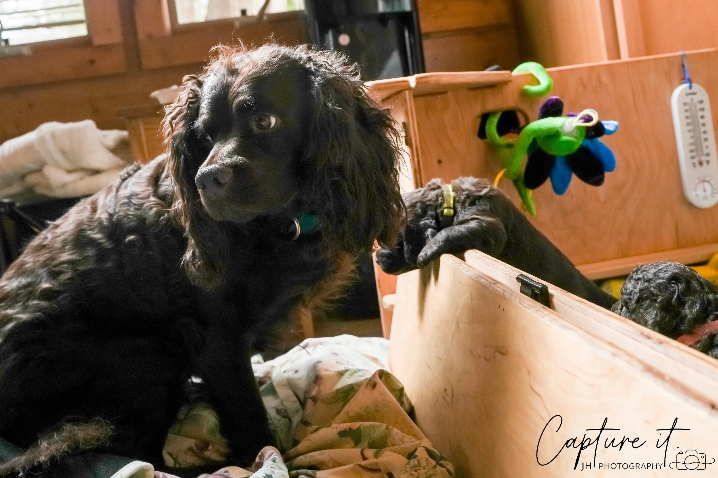 jsch0324czzjjvw - 412-16.jpg