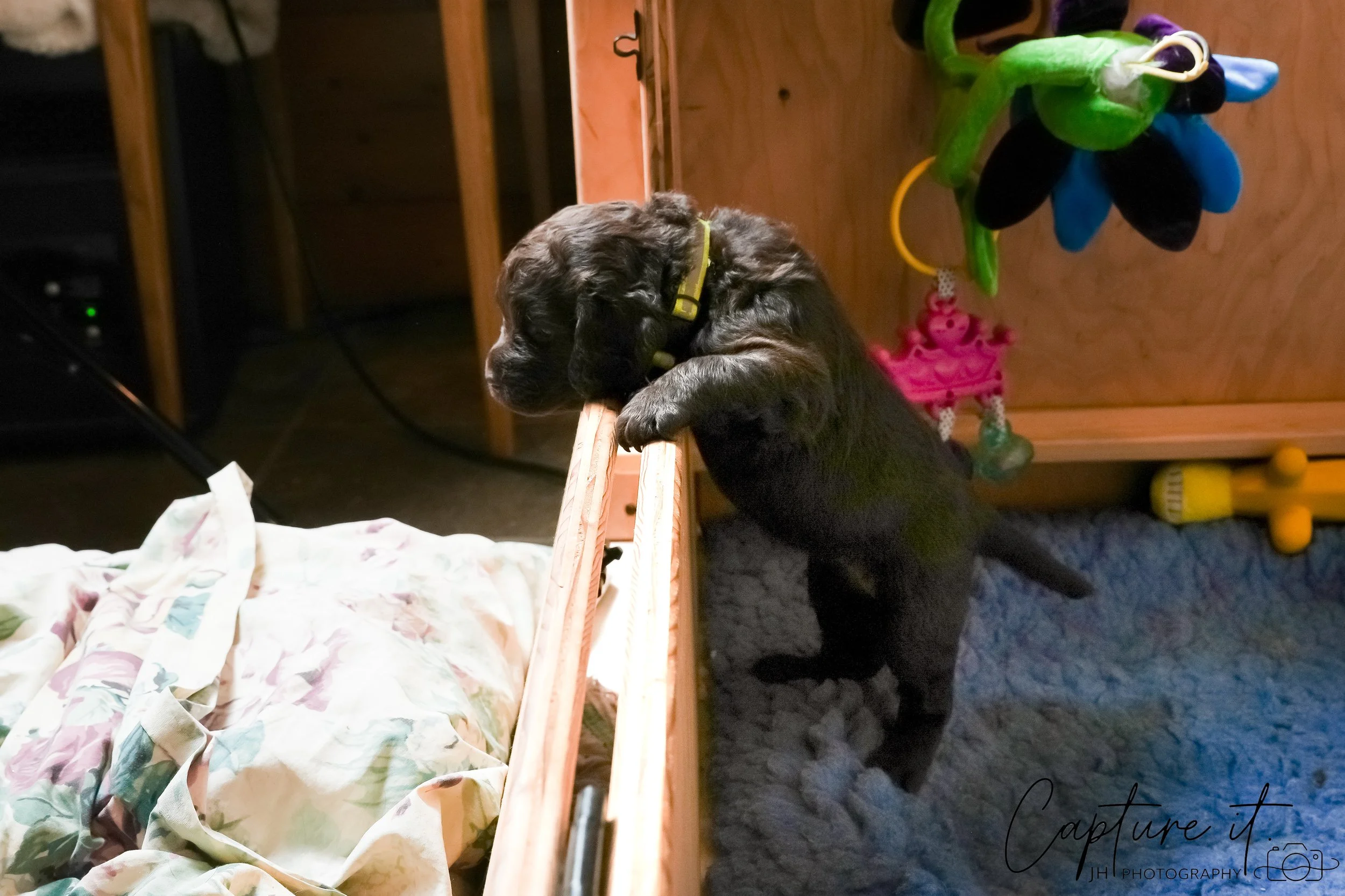 jsch0324czzjjvw - 412-17.jpg