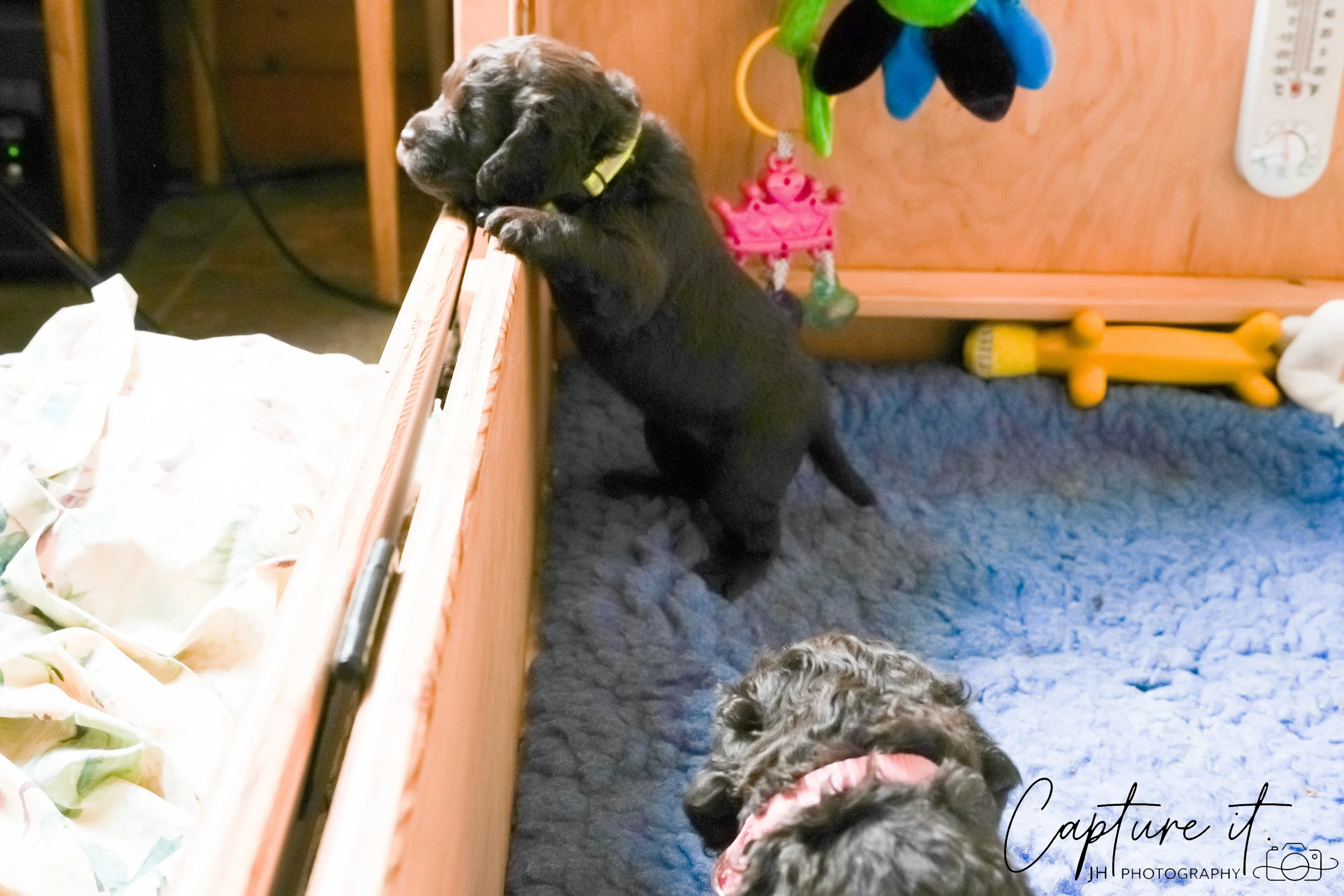 jsch0324czzjjvw - 412-18.jpg