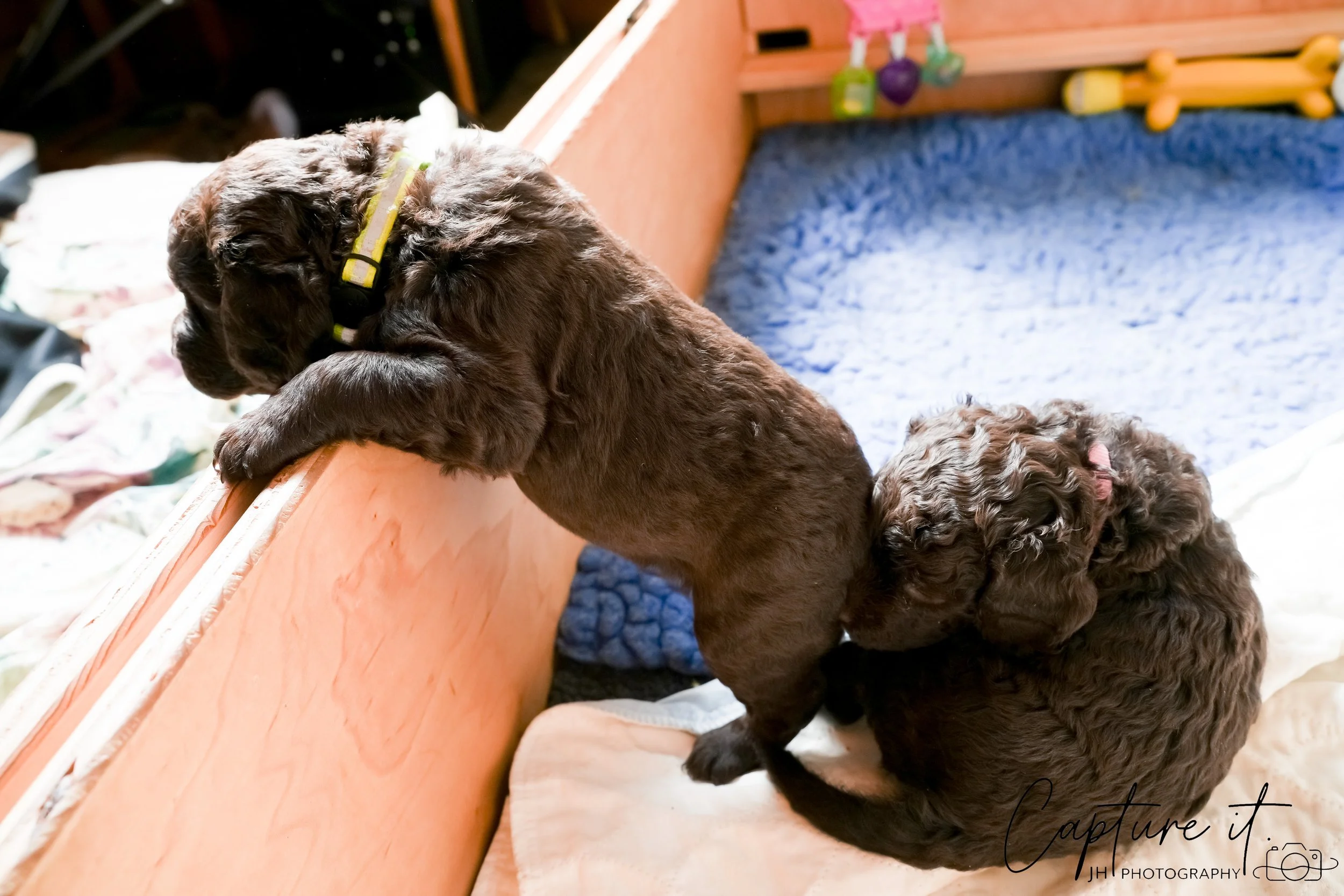 jsch0324czzjjvw - 412-19.jpg