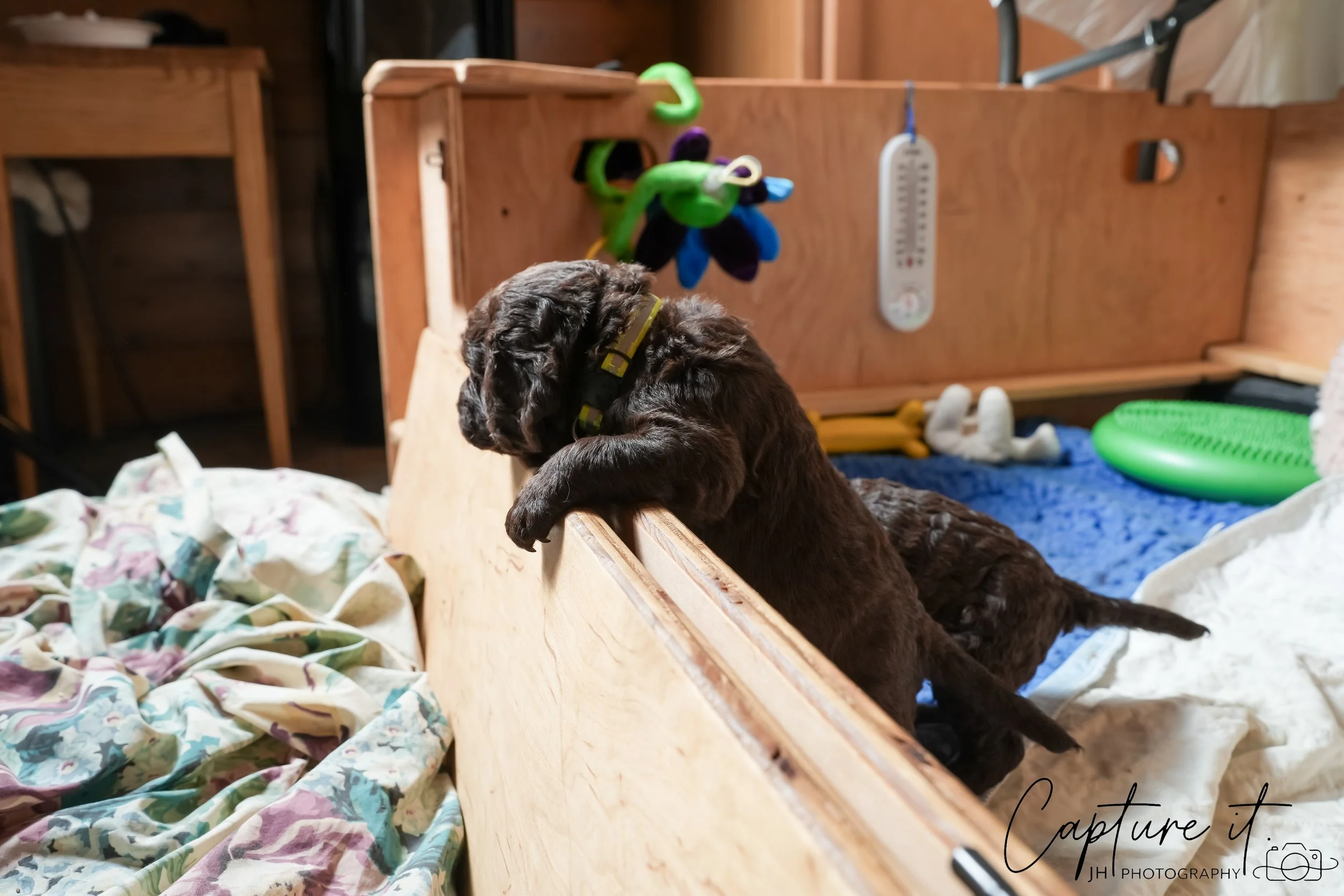 jsch0324czzjjvw - 412-20.jpg