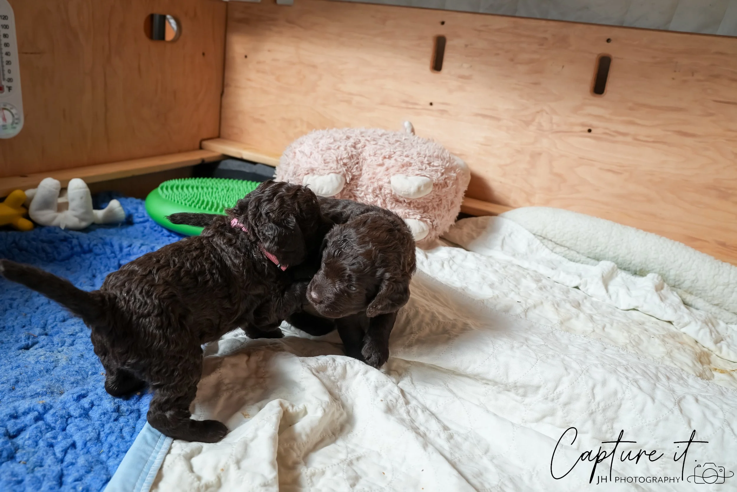 jsch0324czzjjvw - 412-21.jpg