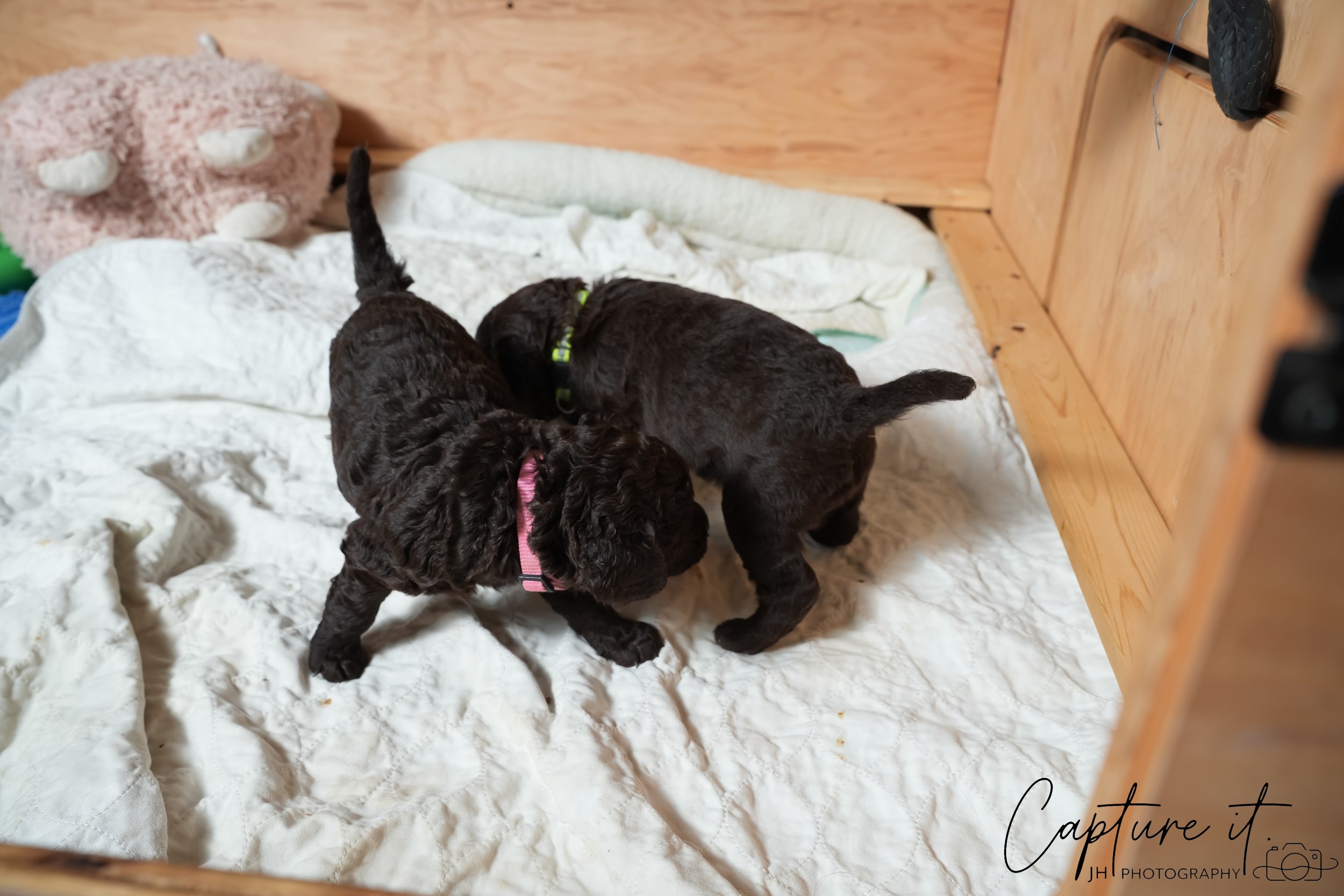 jsch0324czzjjvw - 412-22.jpg