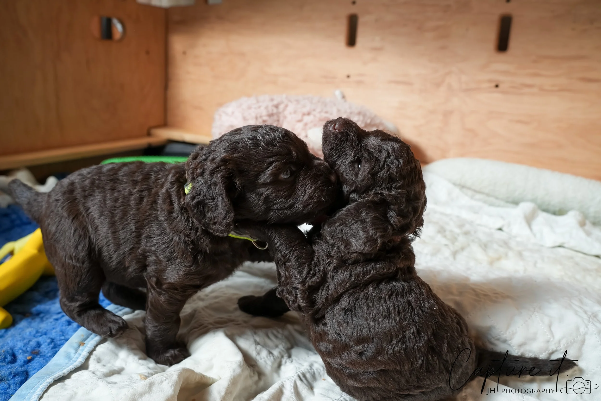 jsch0324czzjjvw - 412-23.jpg