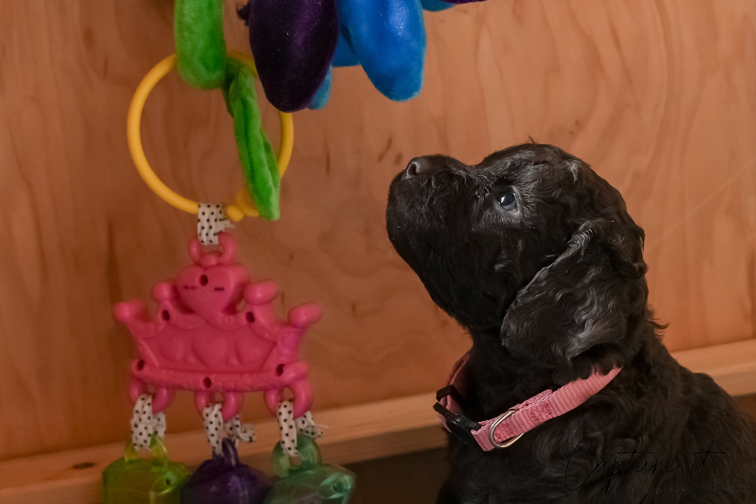 jsch0324czzjjvw - 412-26.jpg