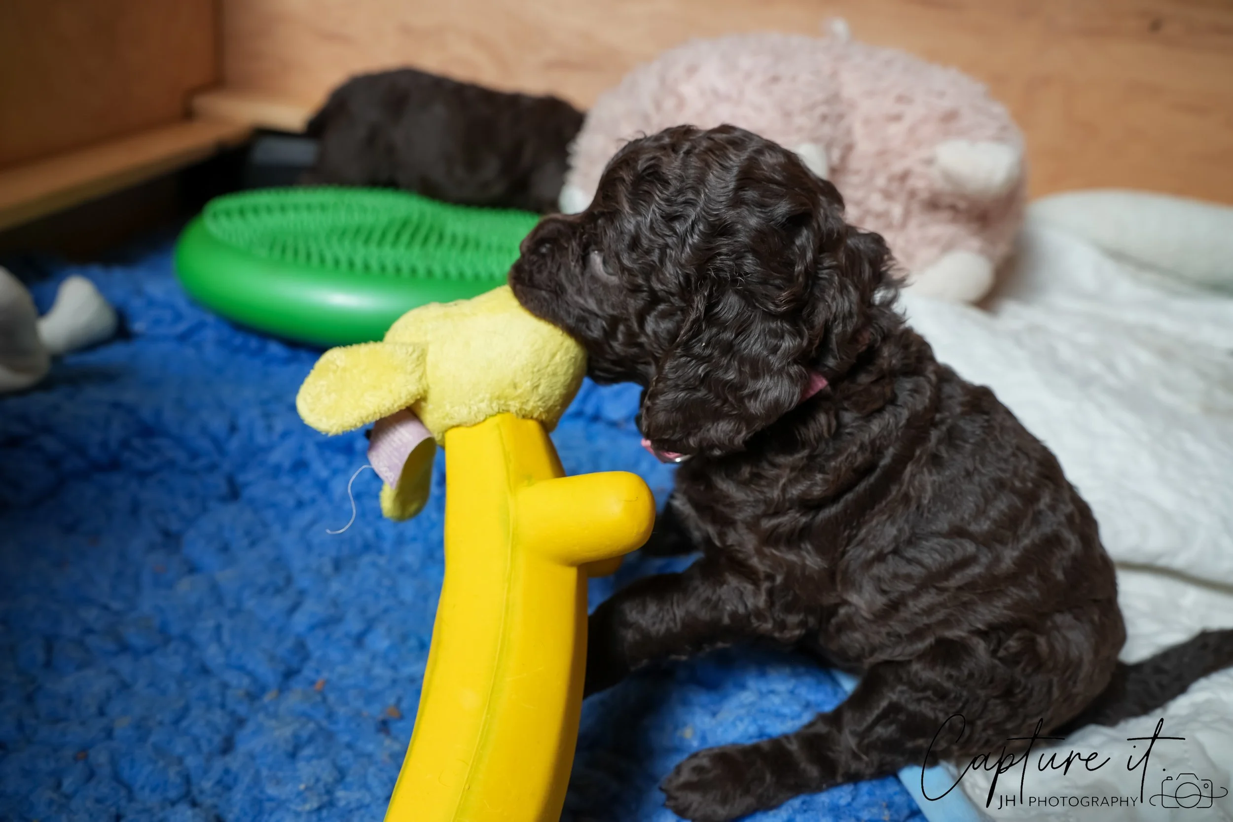 jsch0324czzjjvw - 412-25.jpg