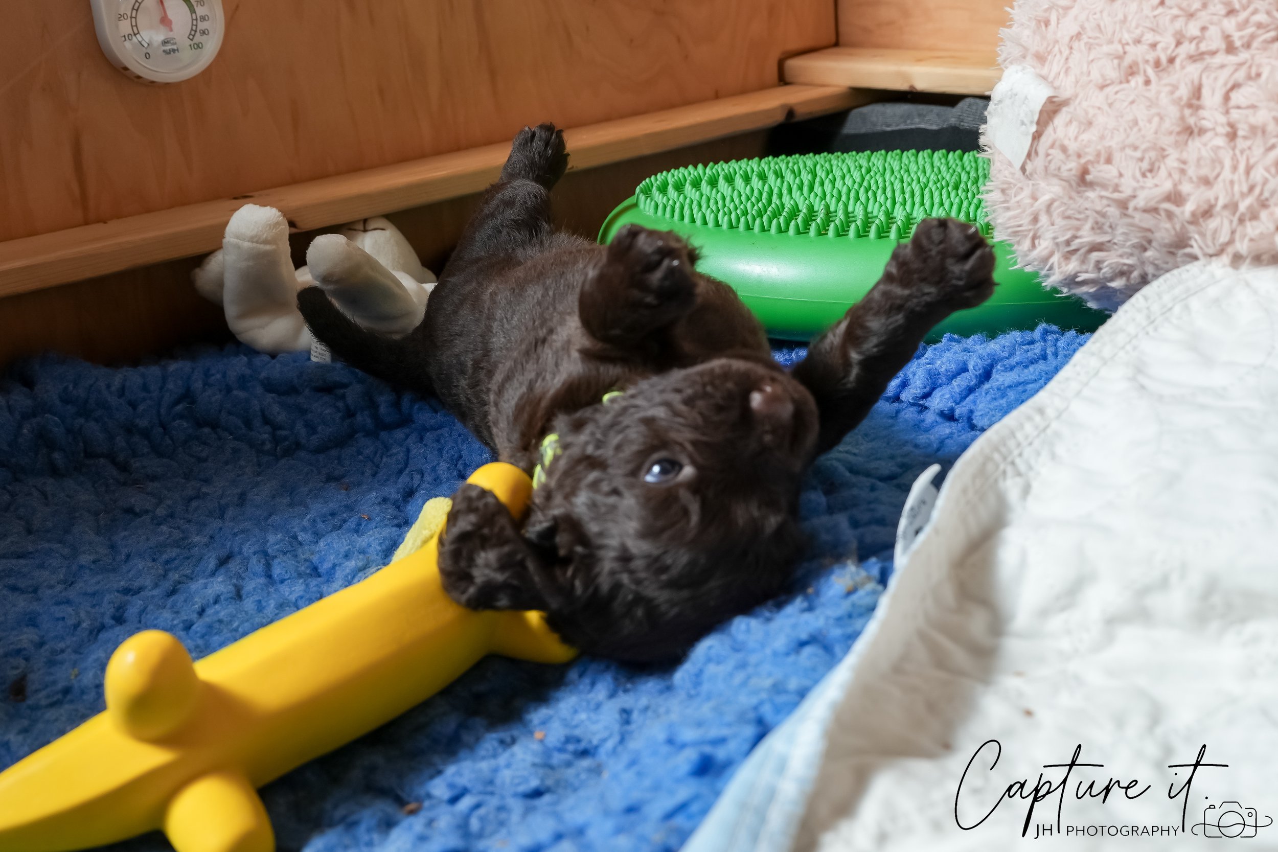 jsch0324czzjjvw - 412-27.jpg