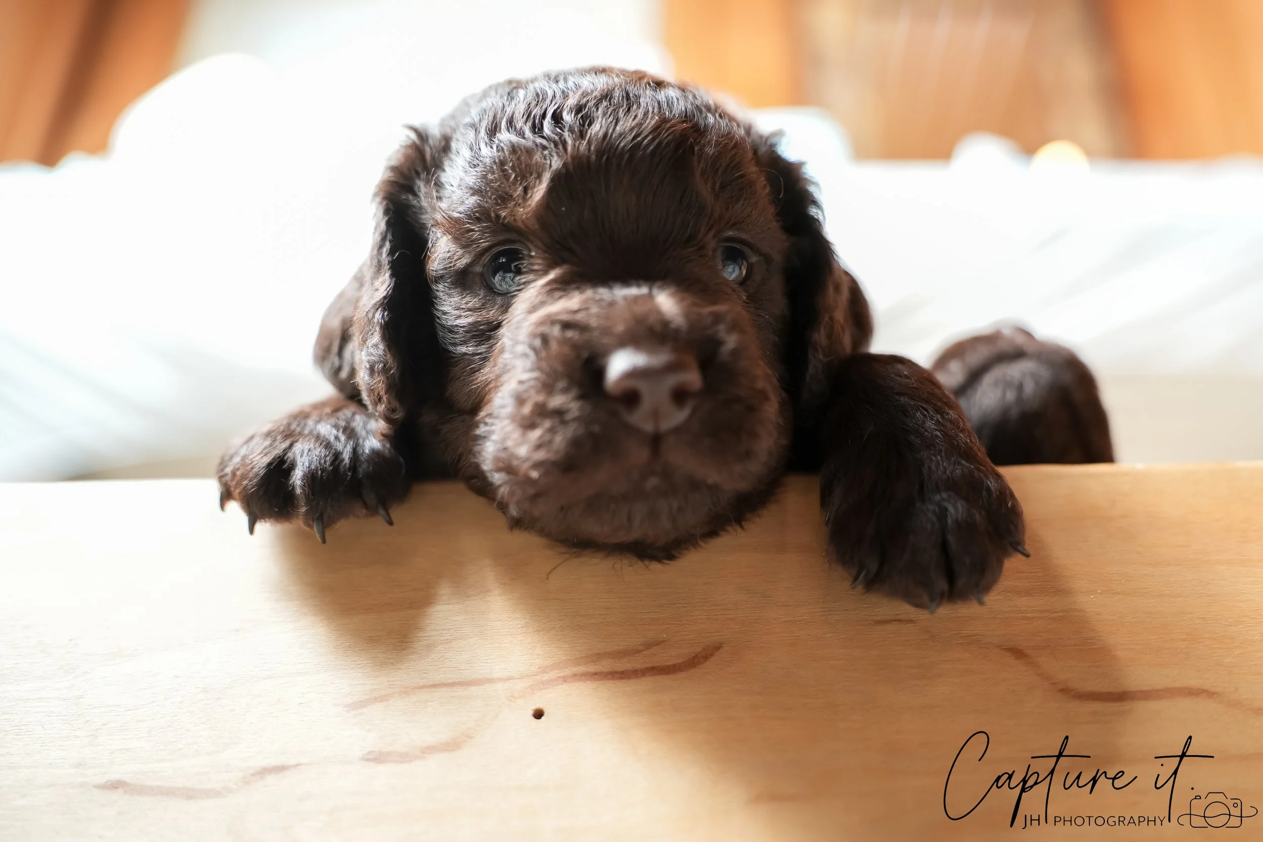 jsch0324czzjjvw - 412-28.jpg