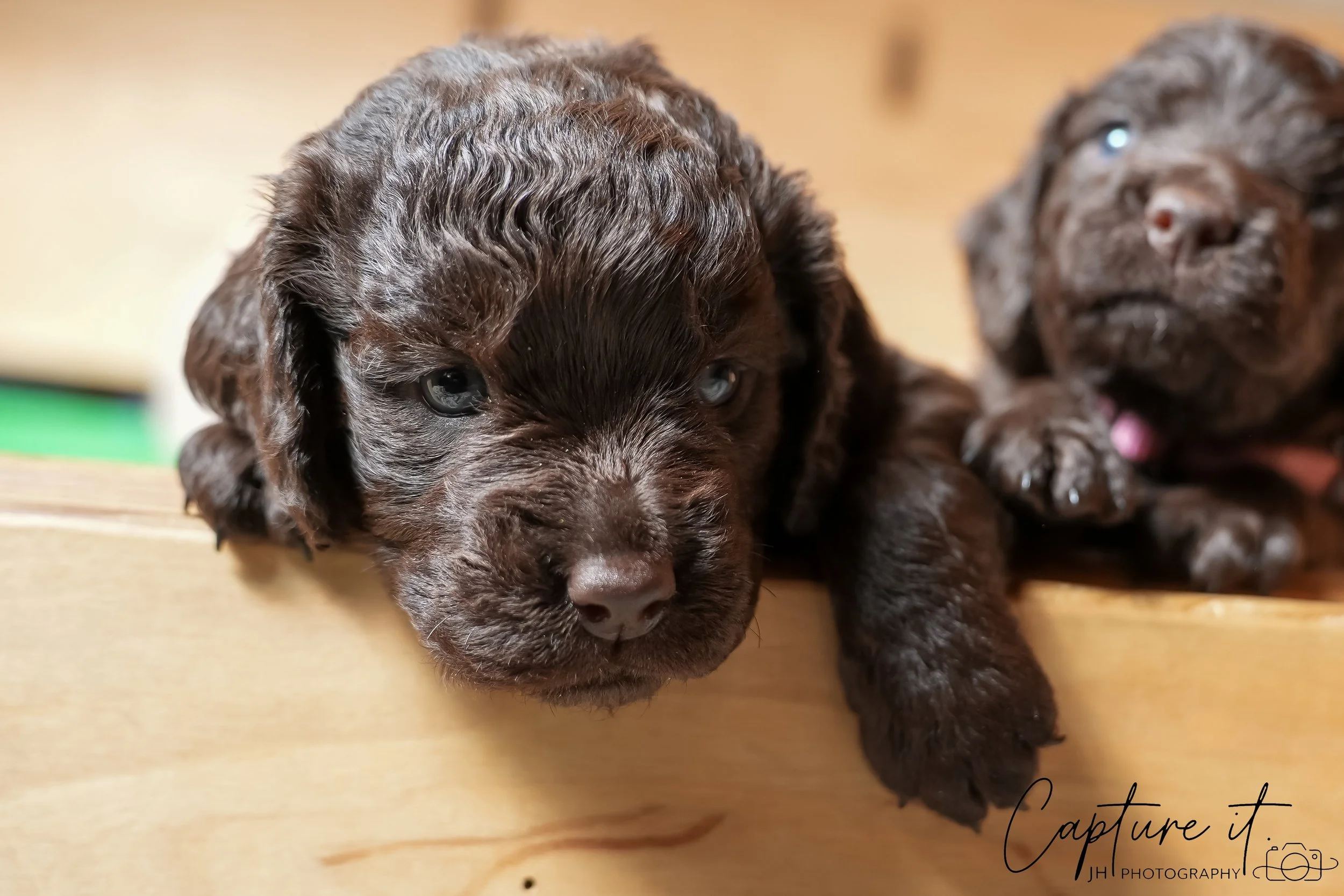 jsch0324czzjjvw - 412-29.jpg