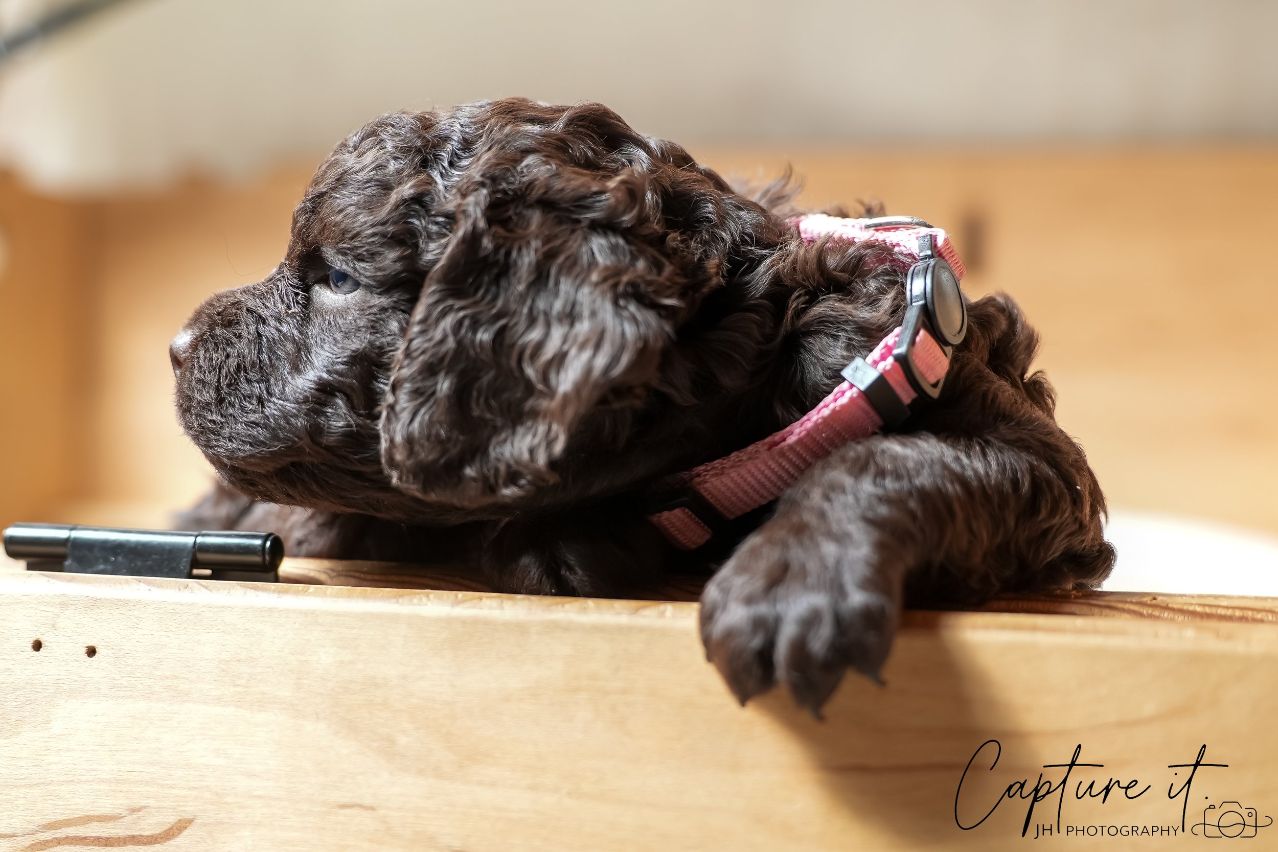 jsch0324czzjjvw - 412-30.jpg