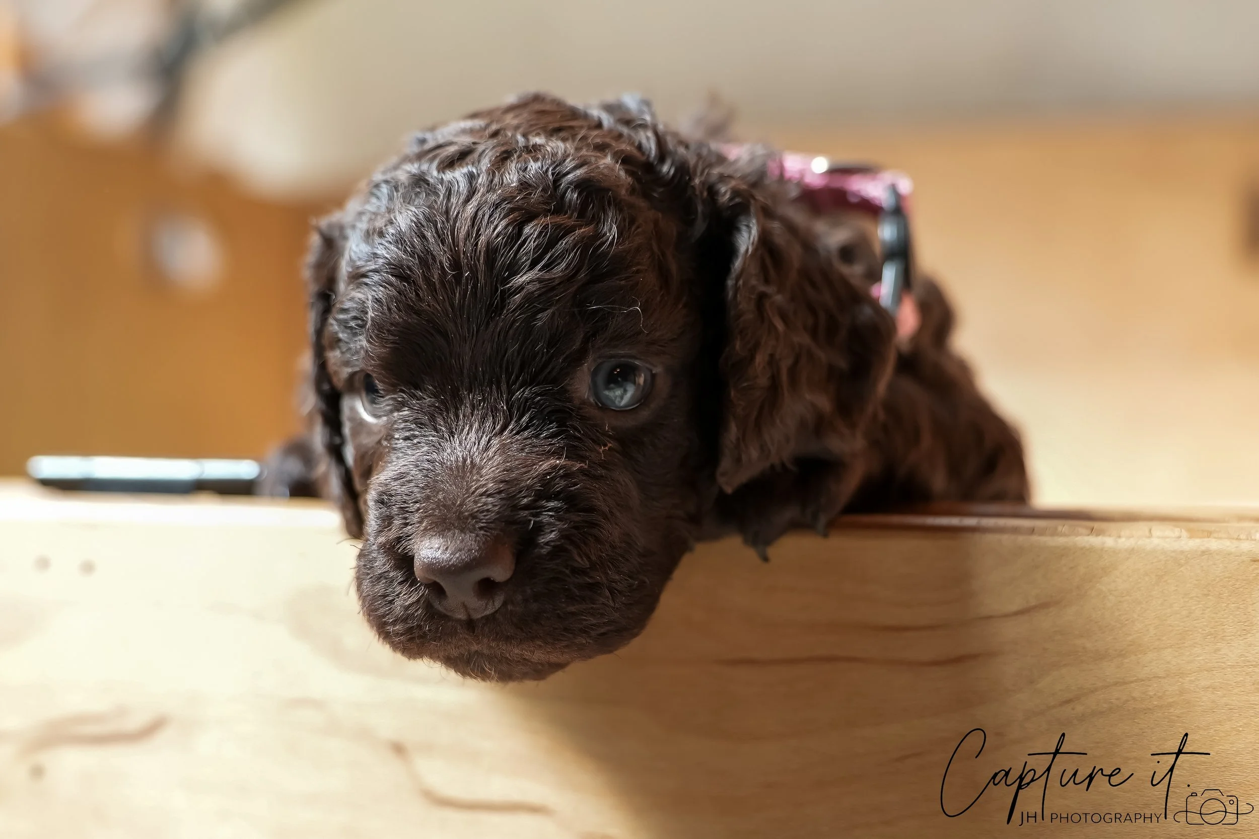 jsch0324czzjjvw - 412-31.jpg