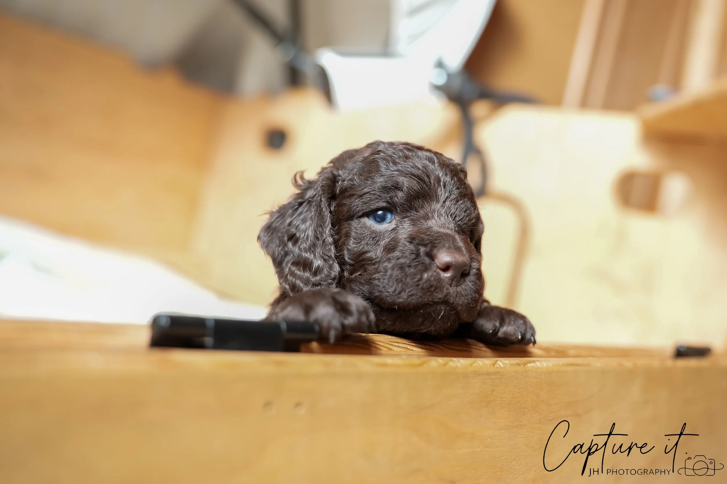 jsch0324czzjjvw - 412-32.jpg