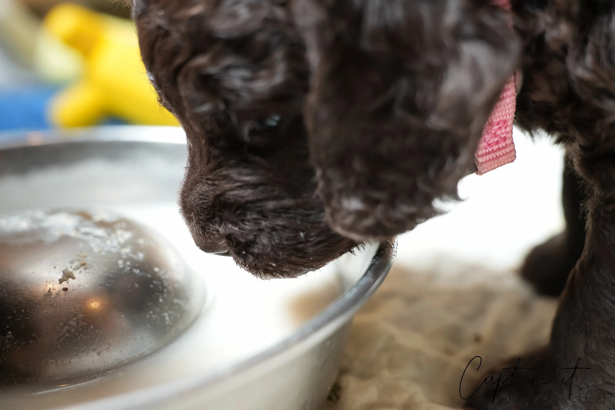 GALLERY CODE-RM#-01.jpg