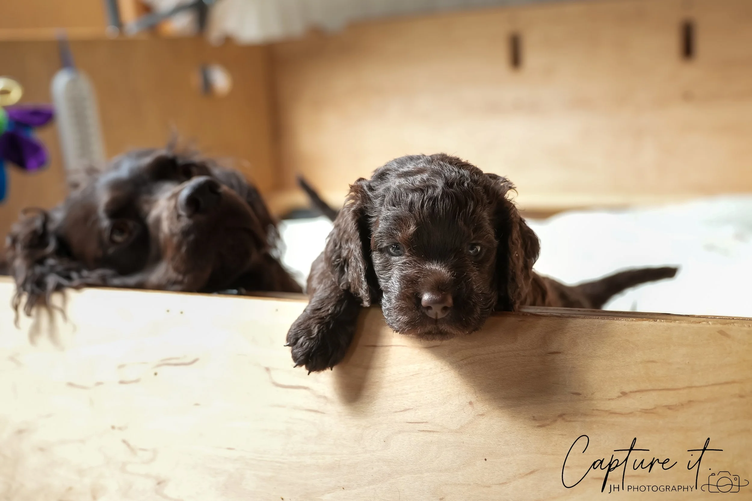 GALLERY CODE-RM#-02.jpg