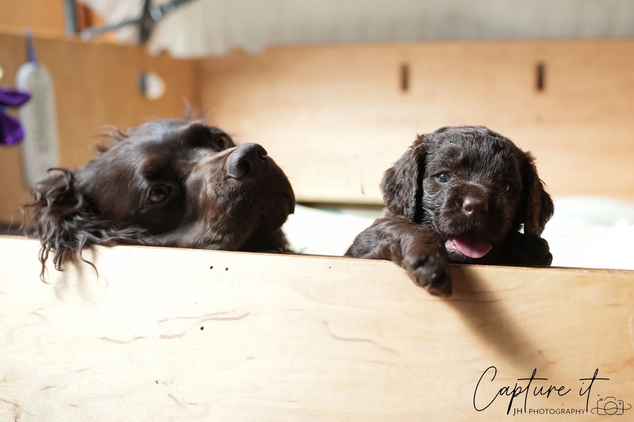 GALLERY CODE-RM#-03.jpg