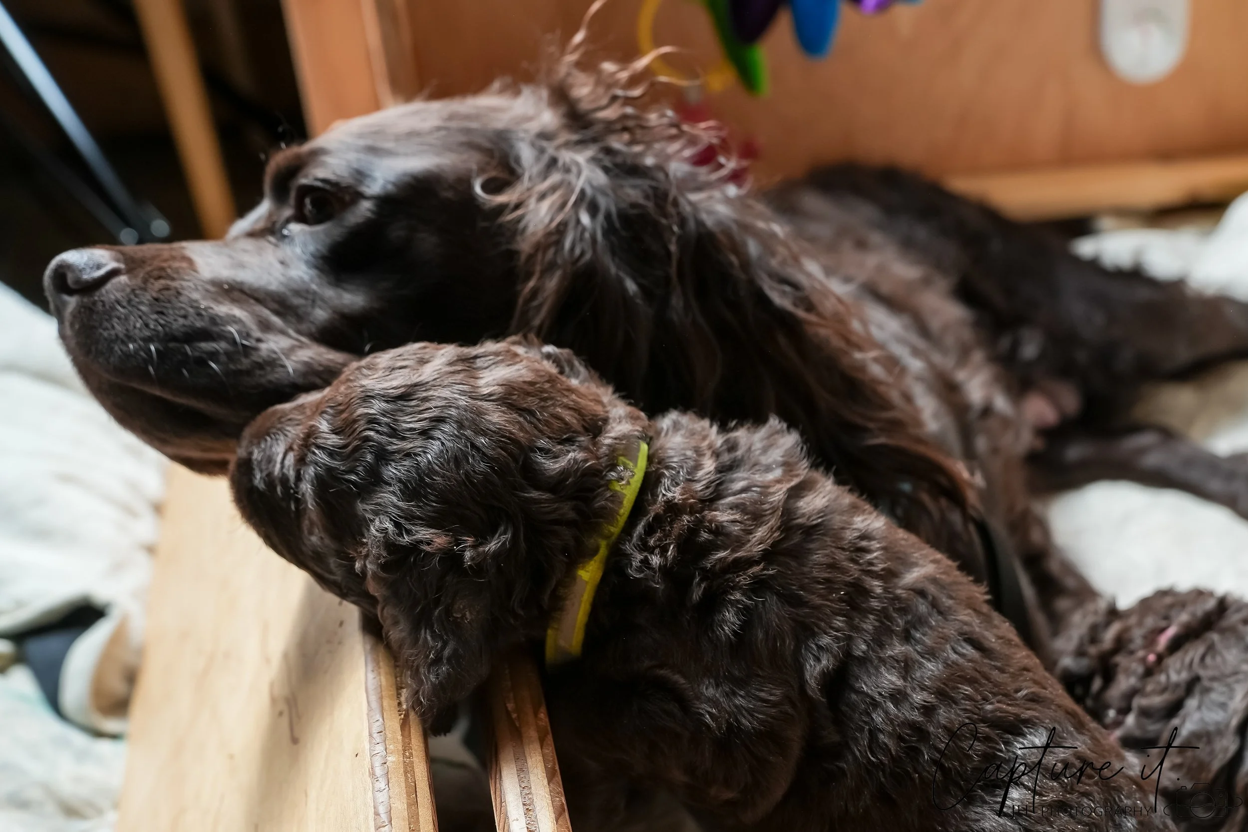 GALLERY CODE-RM#-04.jpg