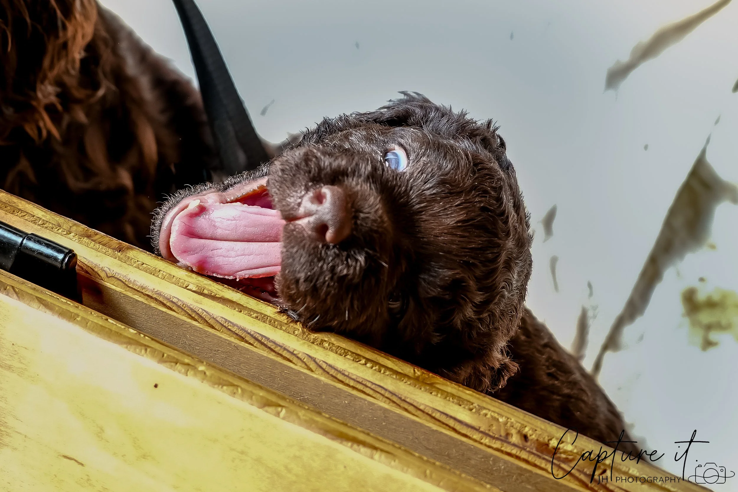 GALLERY CODE-RM#-06.jpg