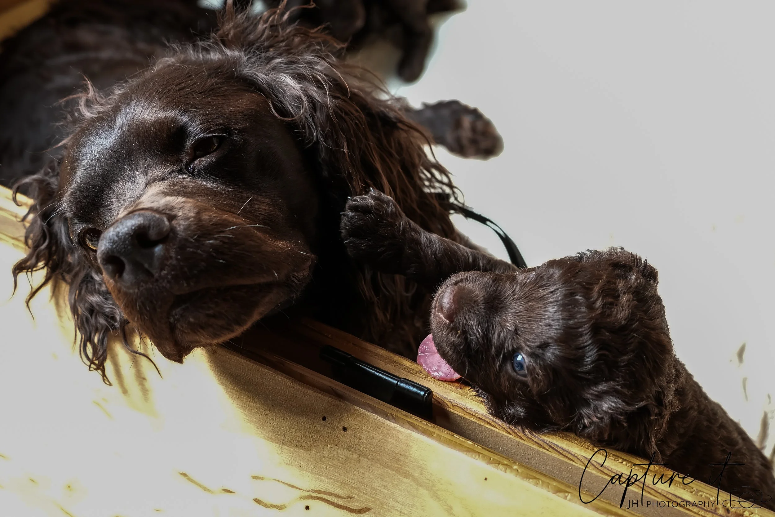 GALLERY CODE-RM#-05.jpg