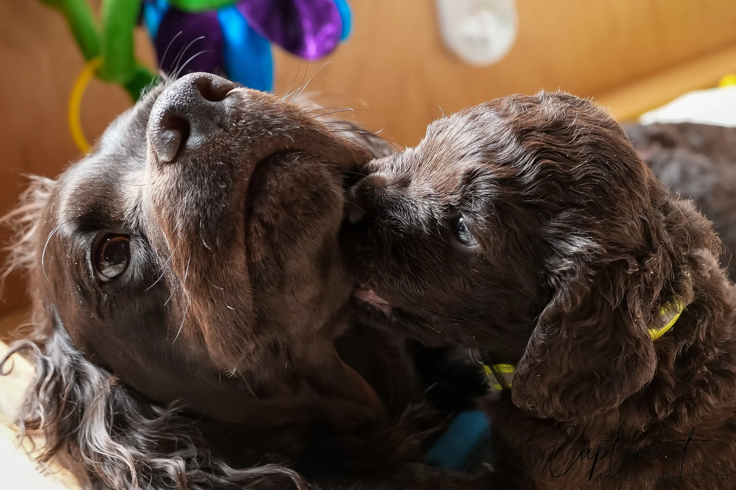 GALLERY CODE-RM#-07.jpg