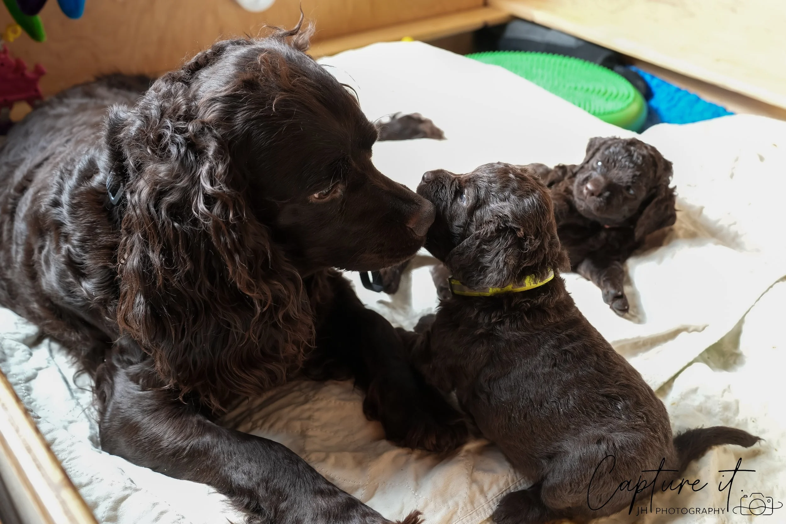 GALLERY CODE-RM#-08.jpg