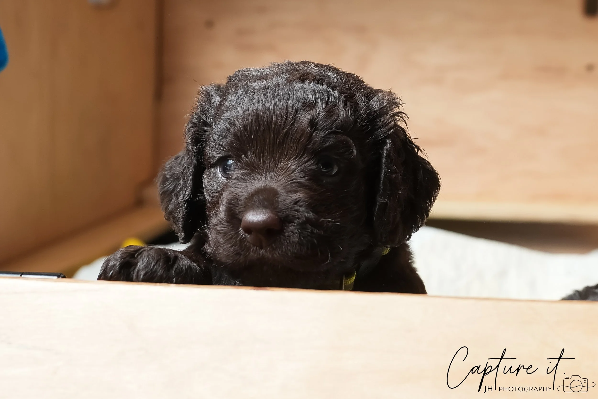 GALLERY CODE-RM#-10.jpg