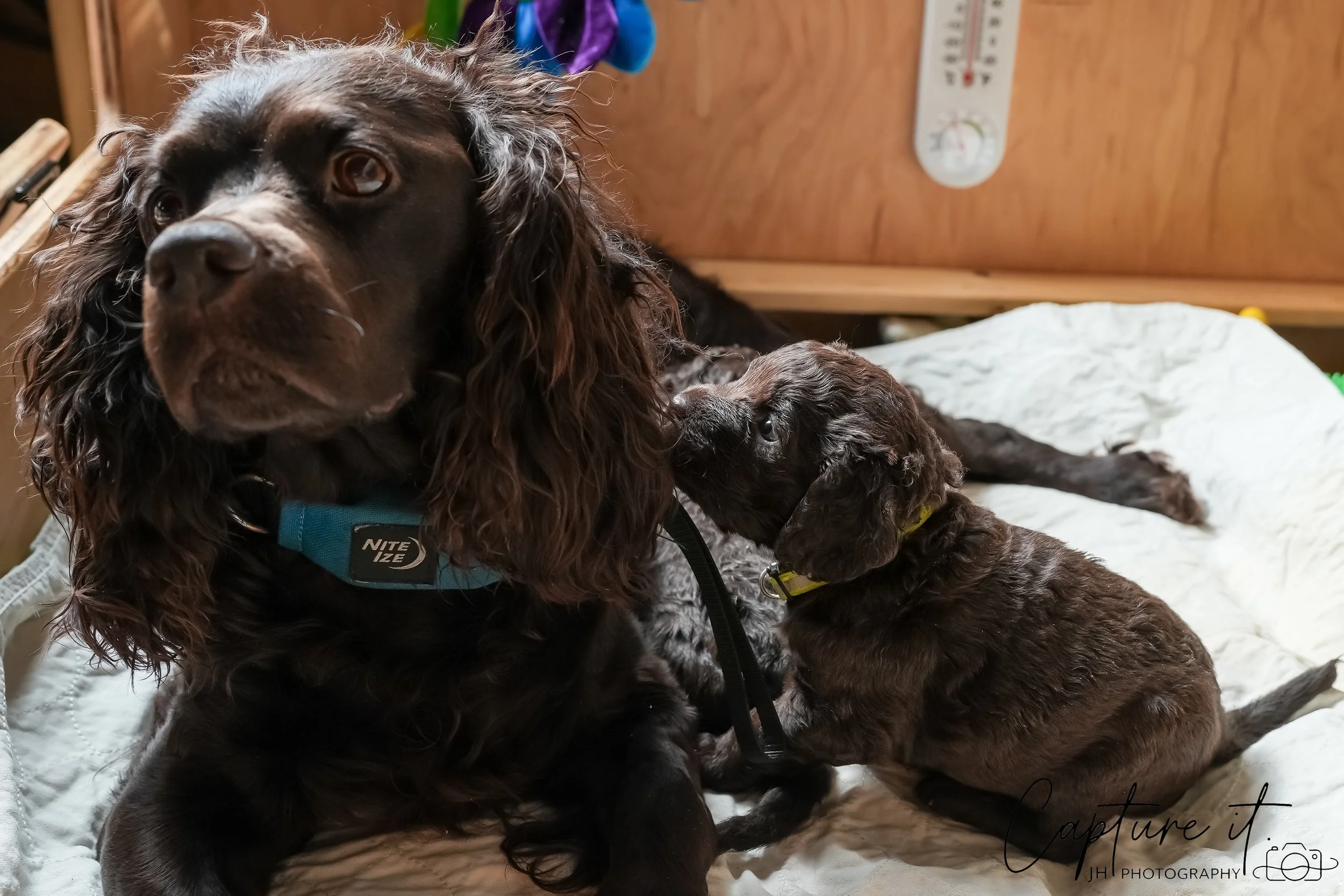 GALLERY CODE-RM#-09.jpg