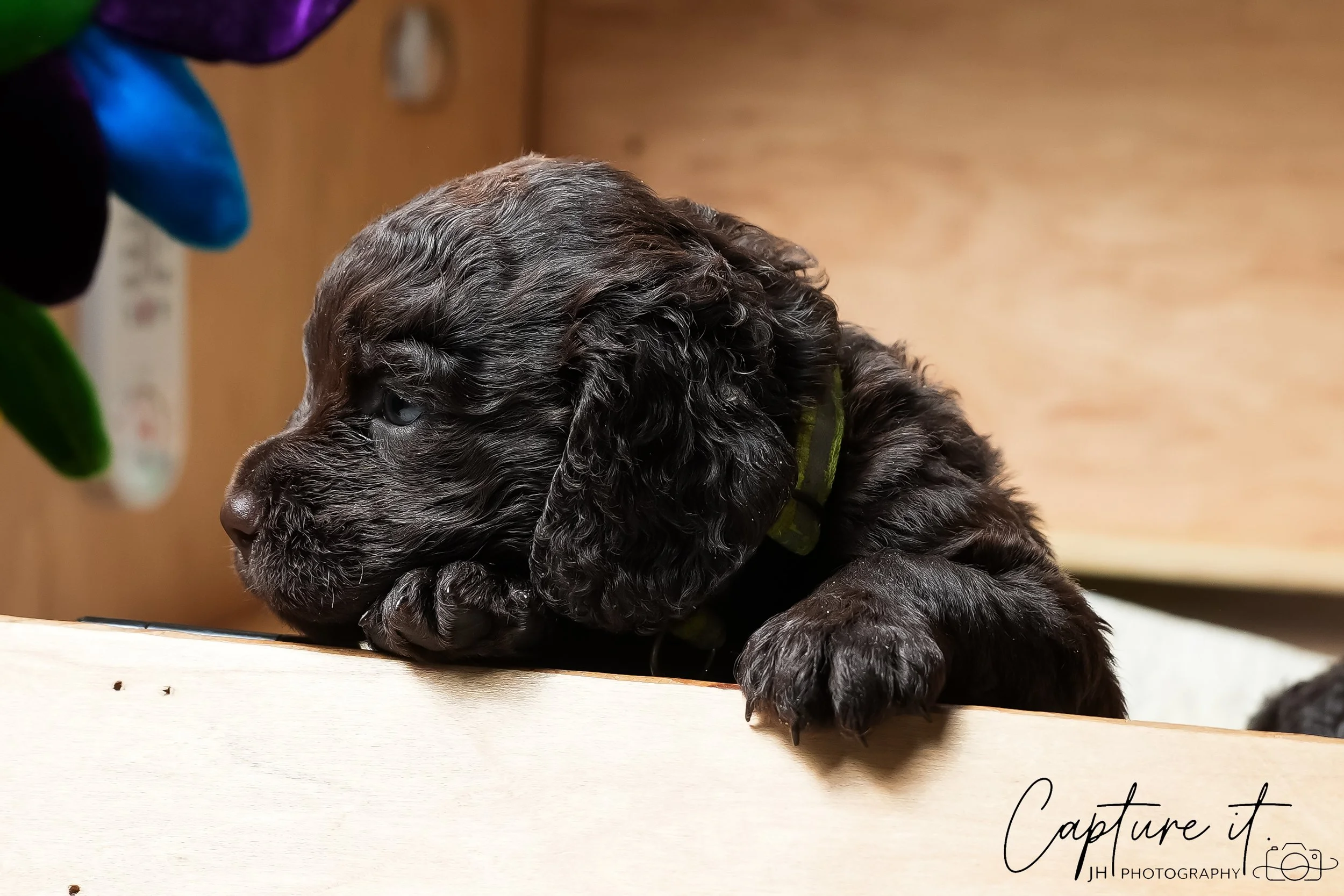 GALLERY CODE-RM#-11.jpg