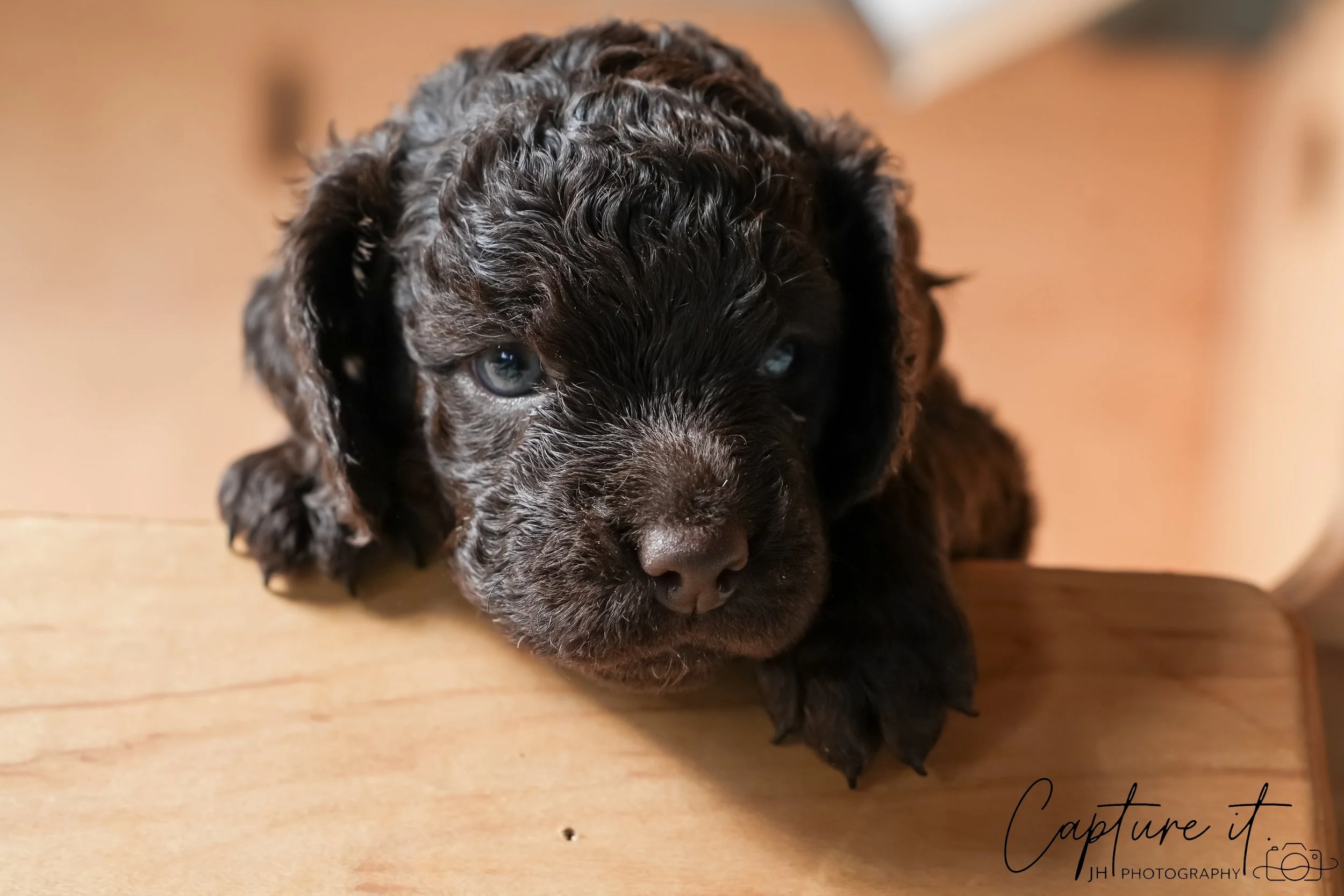 GALLERY CODE-RM#-12.jpg