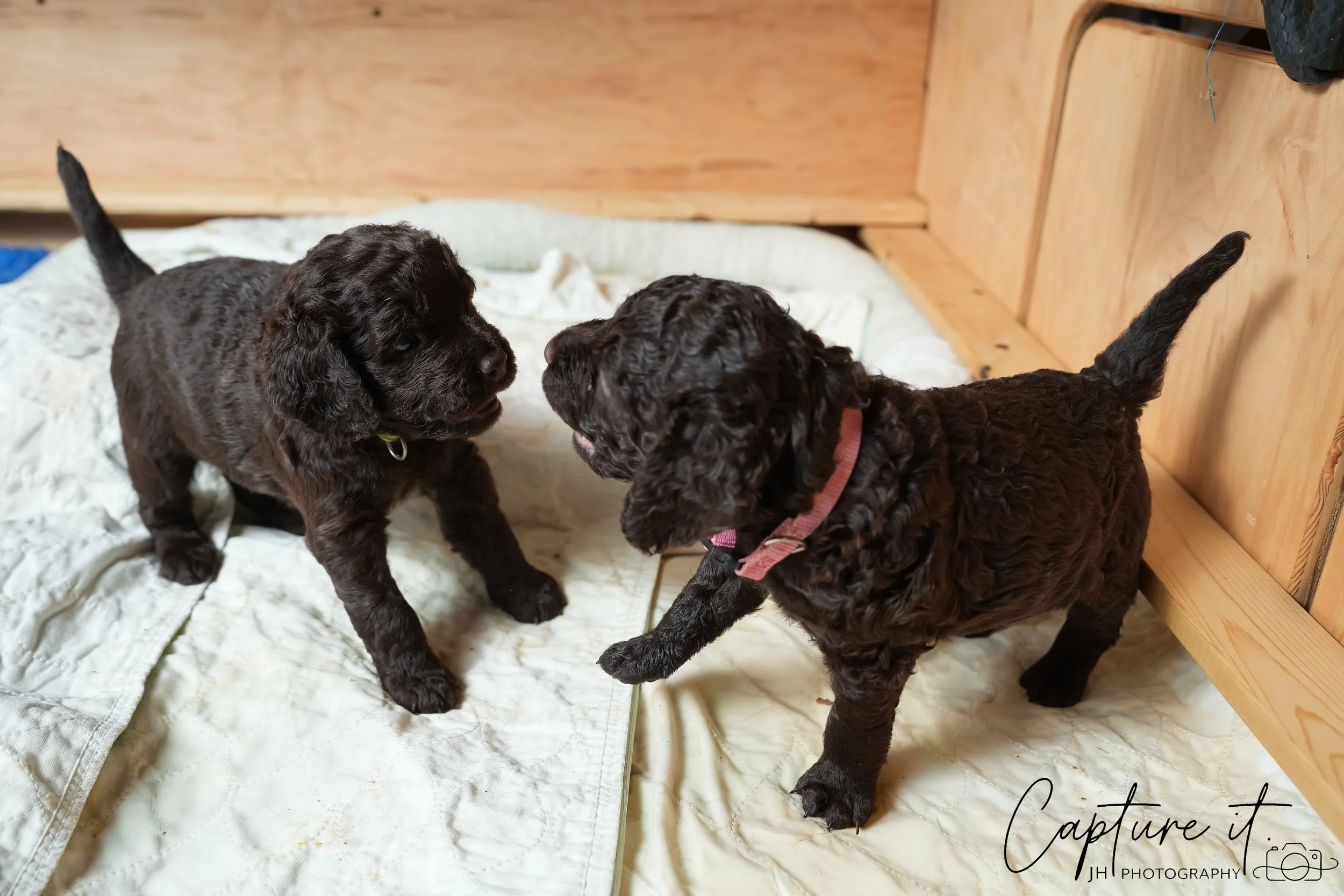 GALLERY CODE-RM#-13.jpg