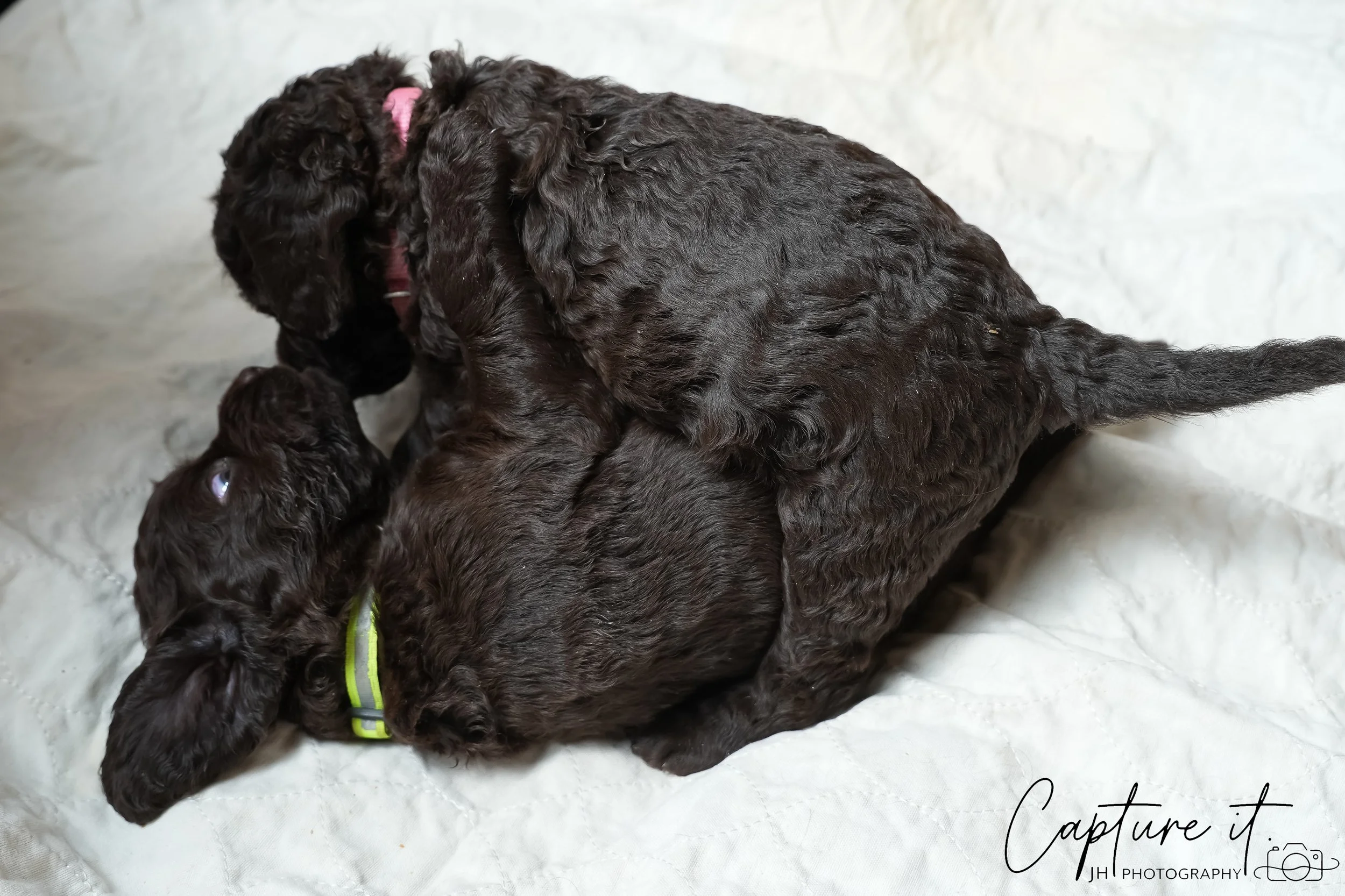 GALLERY CODE-RM#-14.jpg