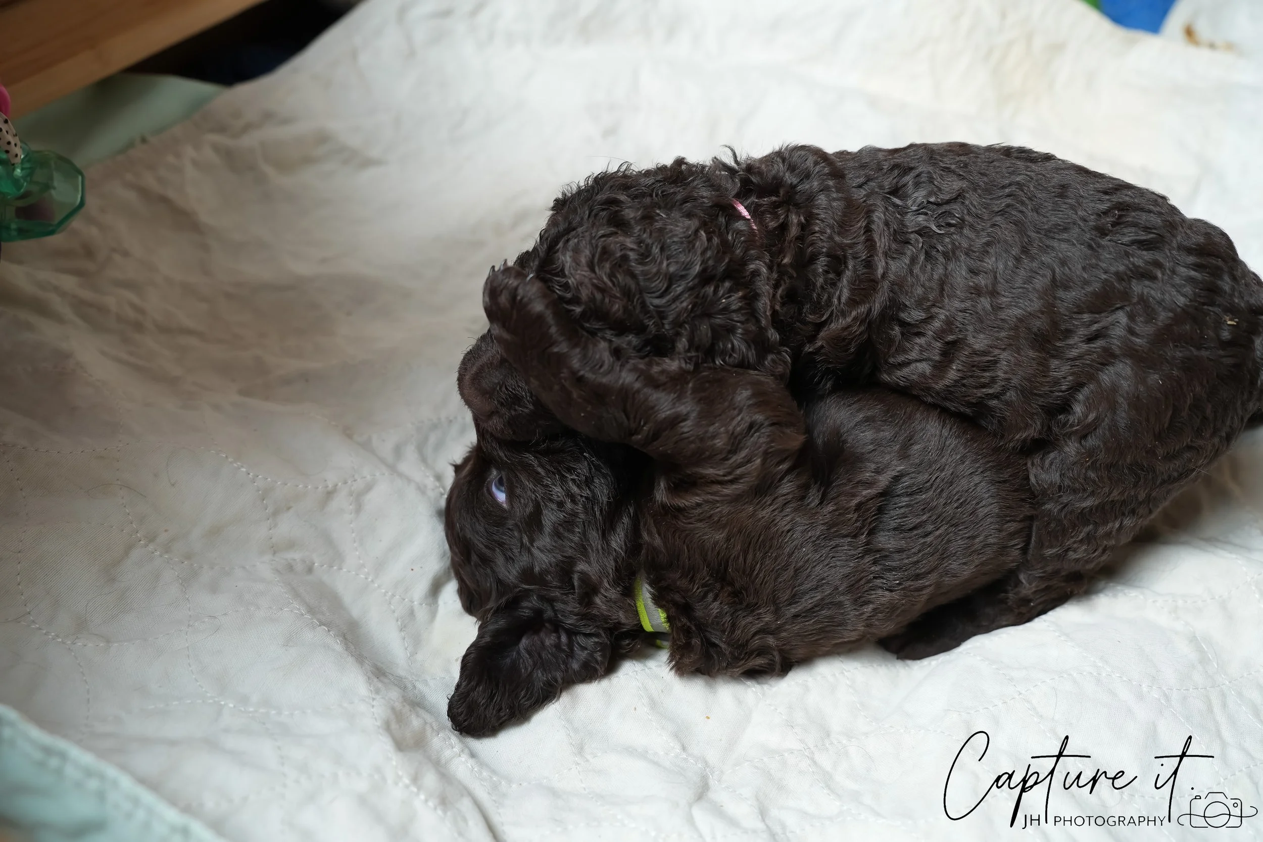 GALLERY CODE-RM#-15.jpg