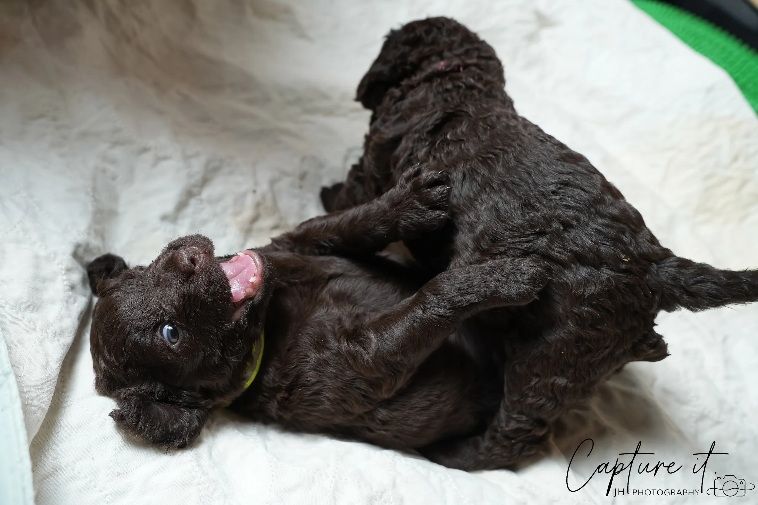 GALLERY CODE-RM#-16.jpg