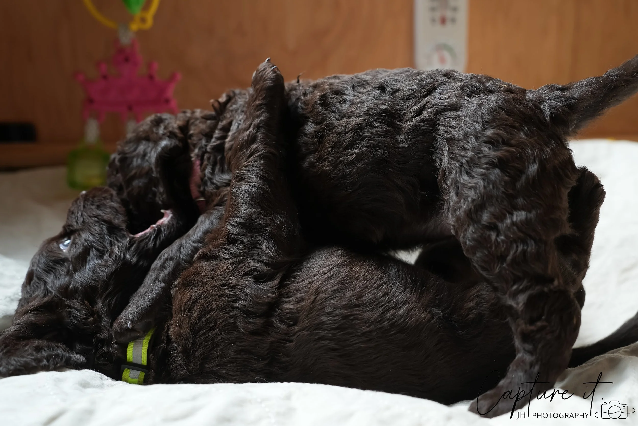 GALLERY CODE-RM#-17.jpg