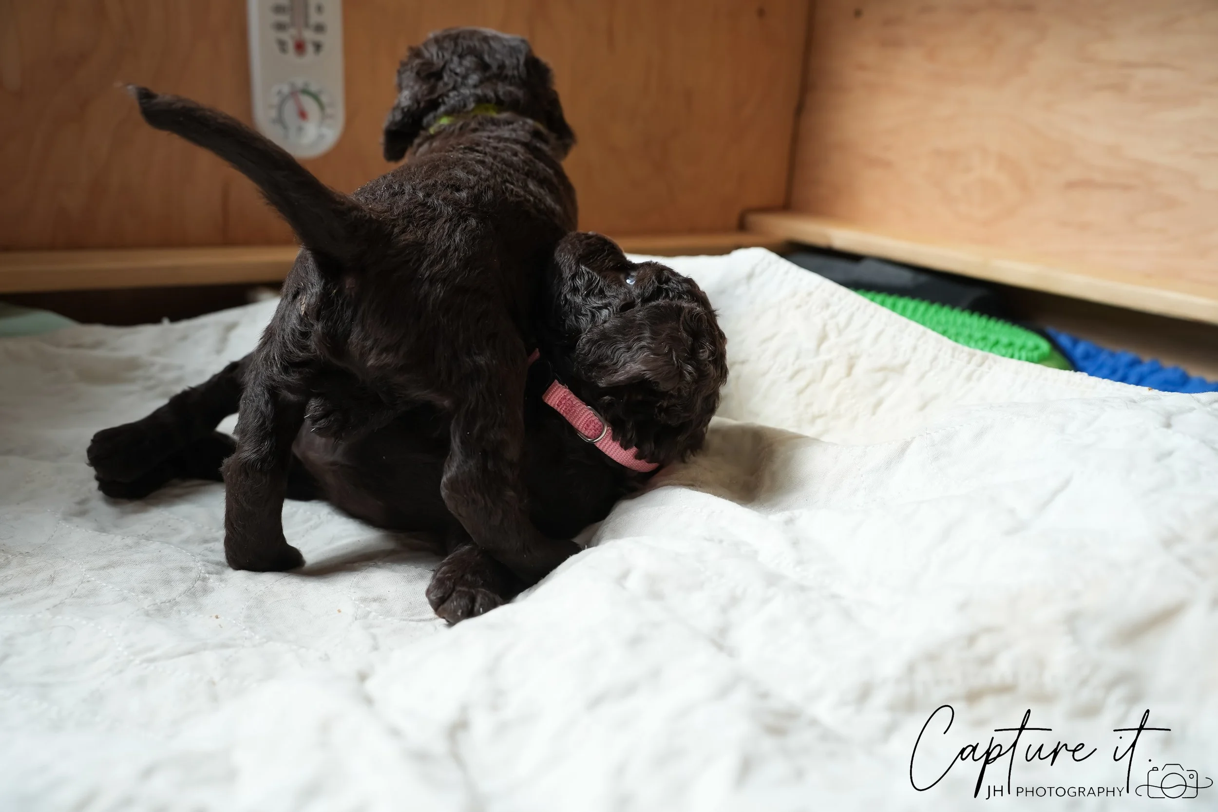 GALLERY CODE-RM#-18.jpg