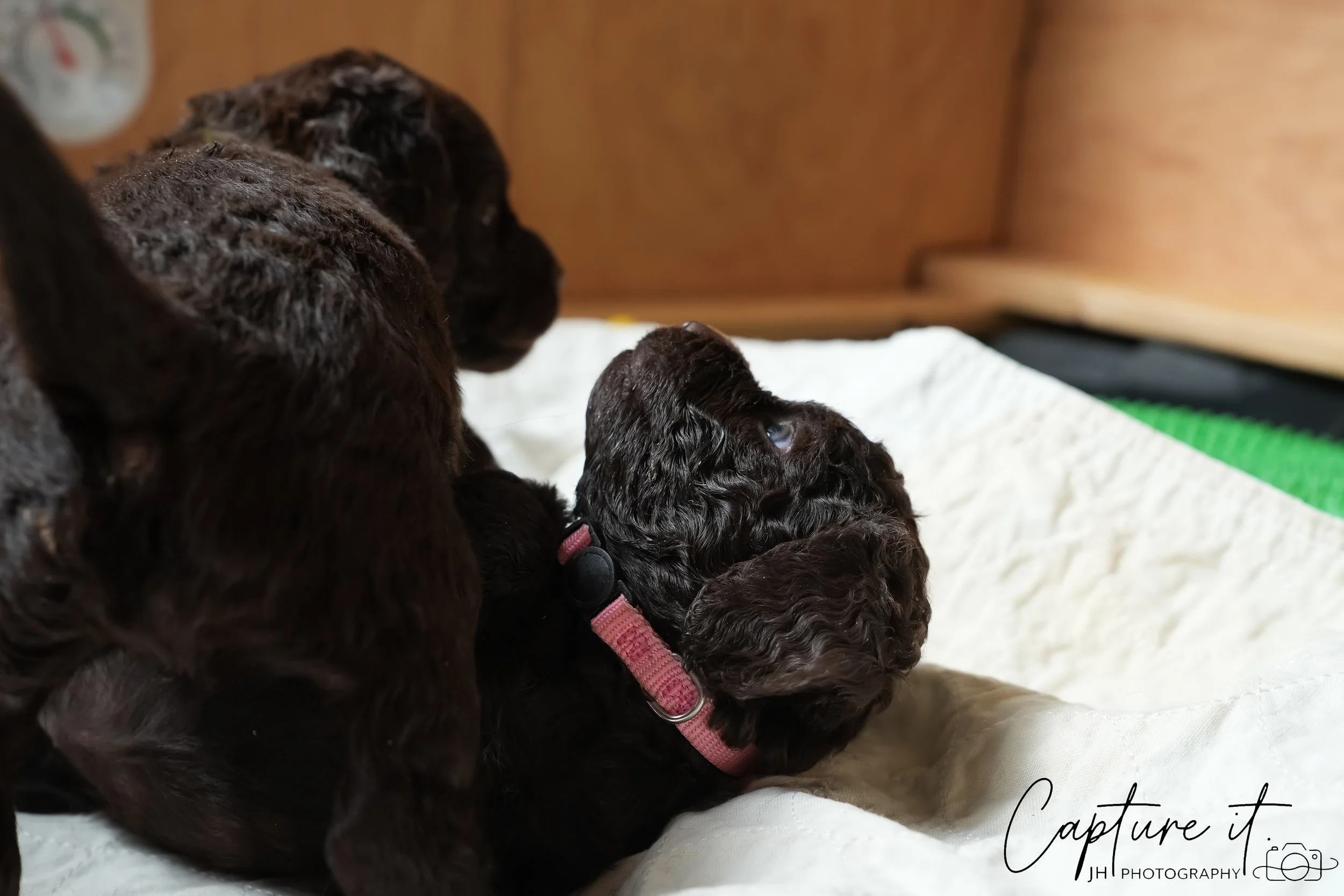 GALLERY CODE-RM#-19.jpg