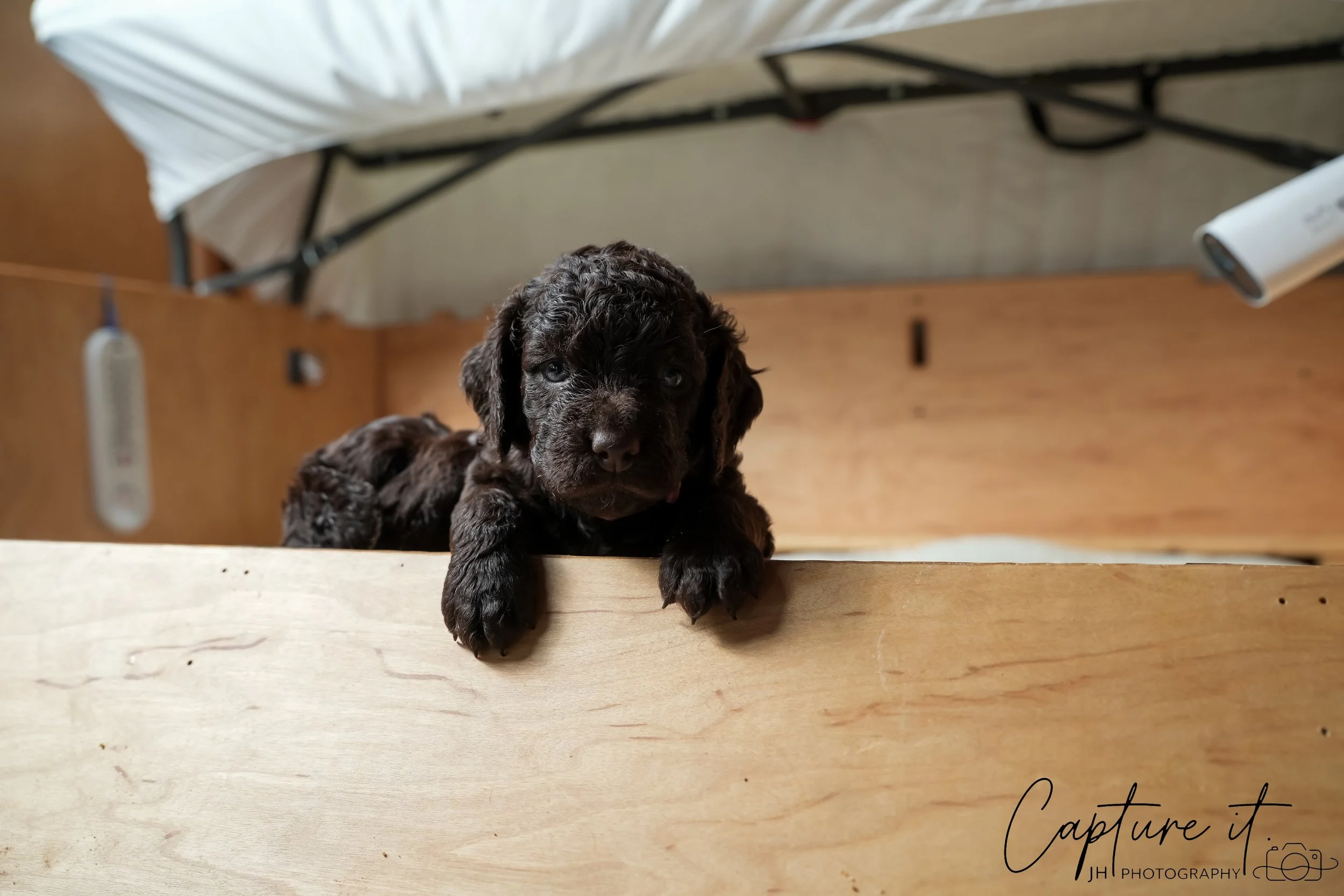 GALLERY CODE-RM#-20.jpg