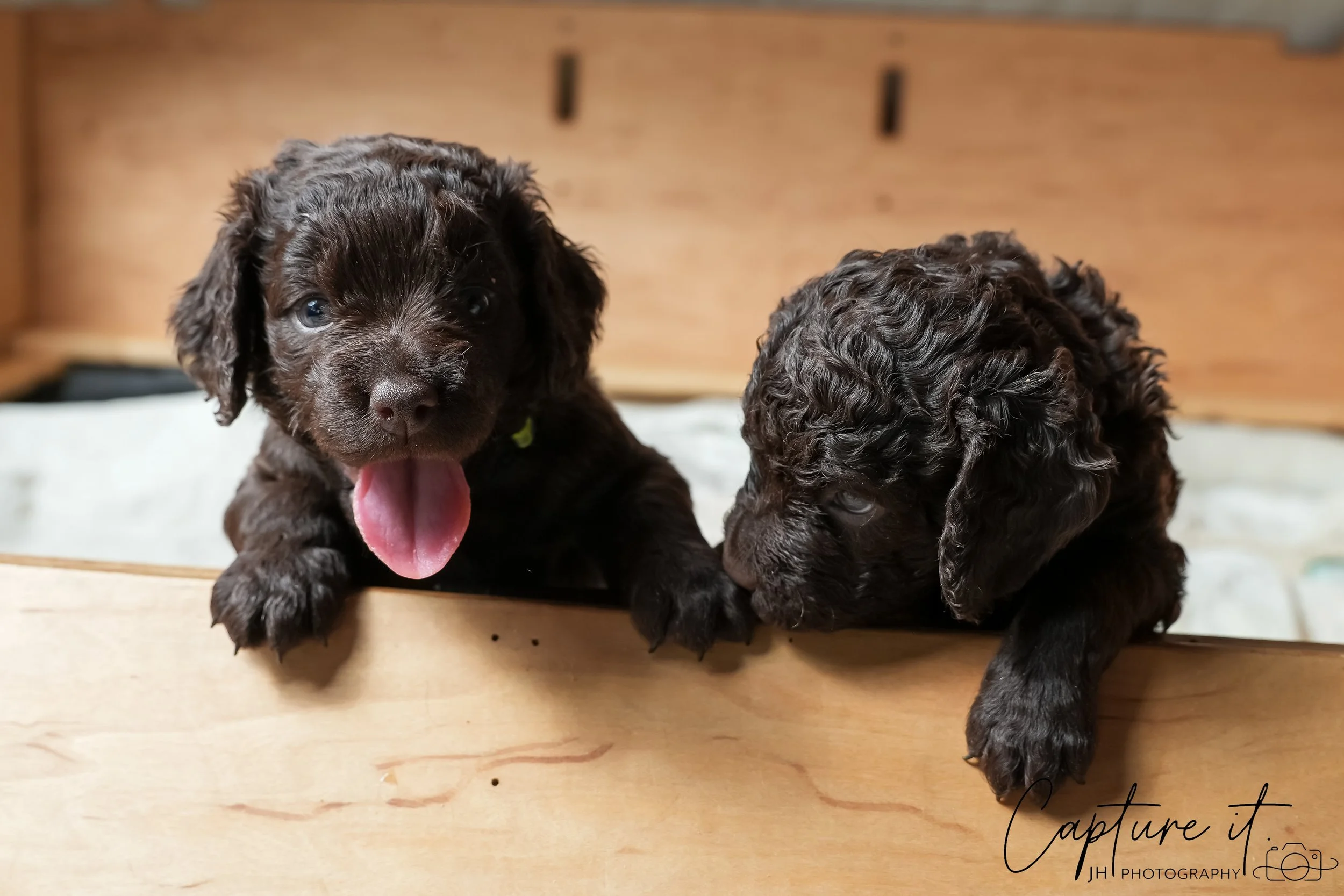 GALLERY CODE-RM#-21.jpg